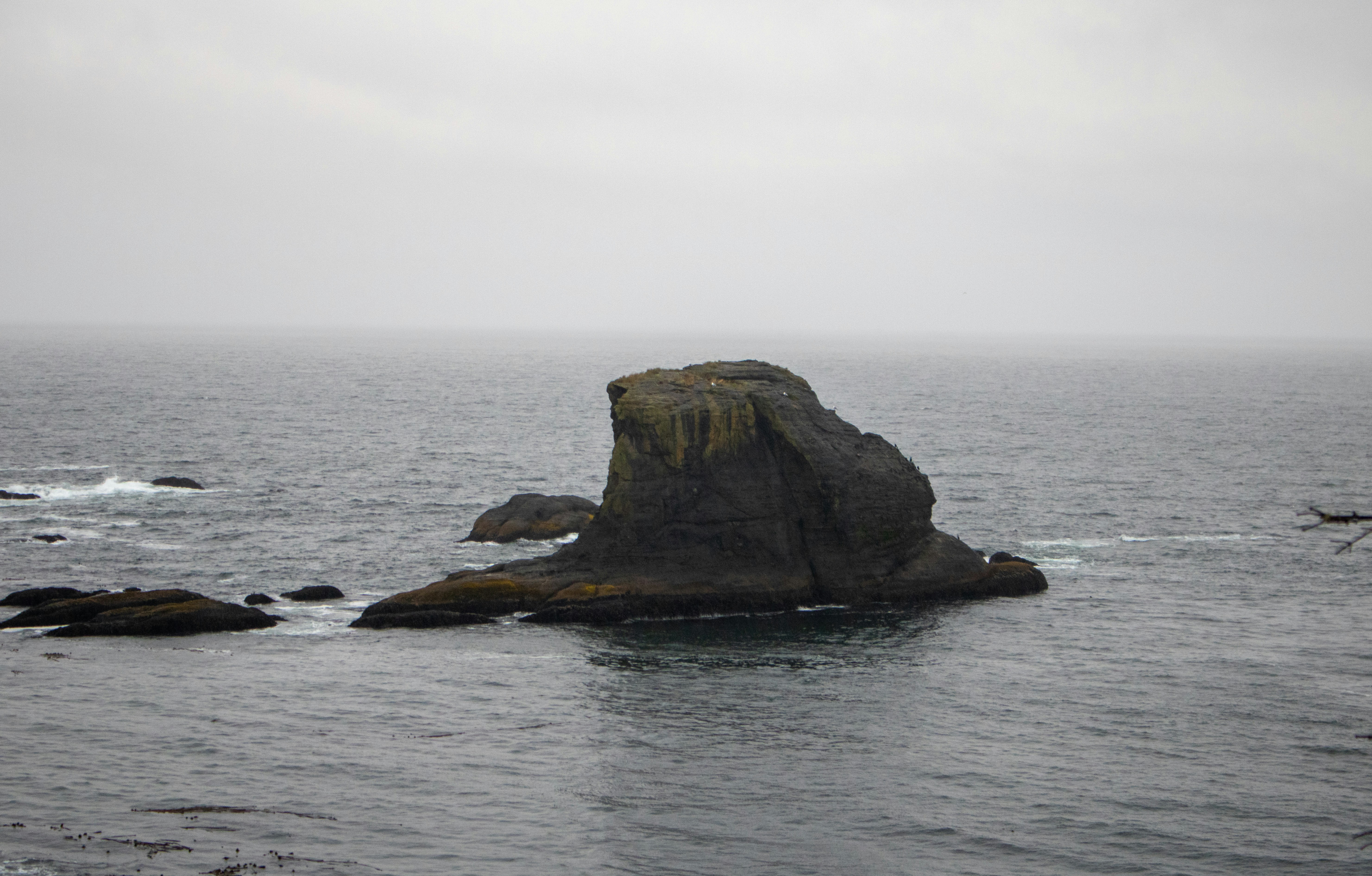 Photo by zoshuacolah