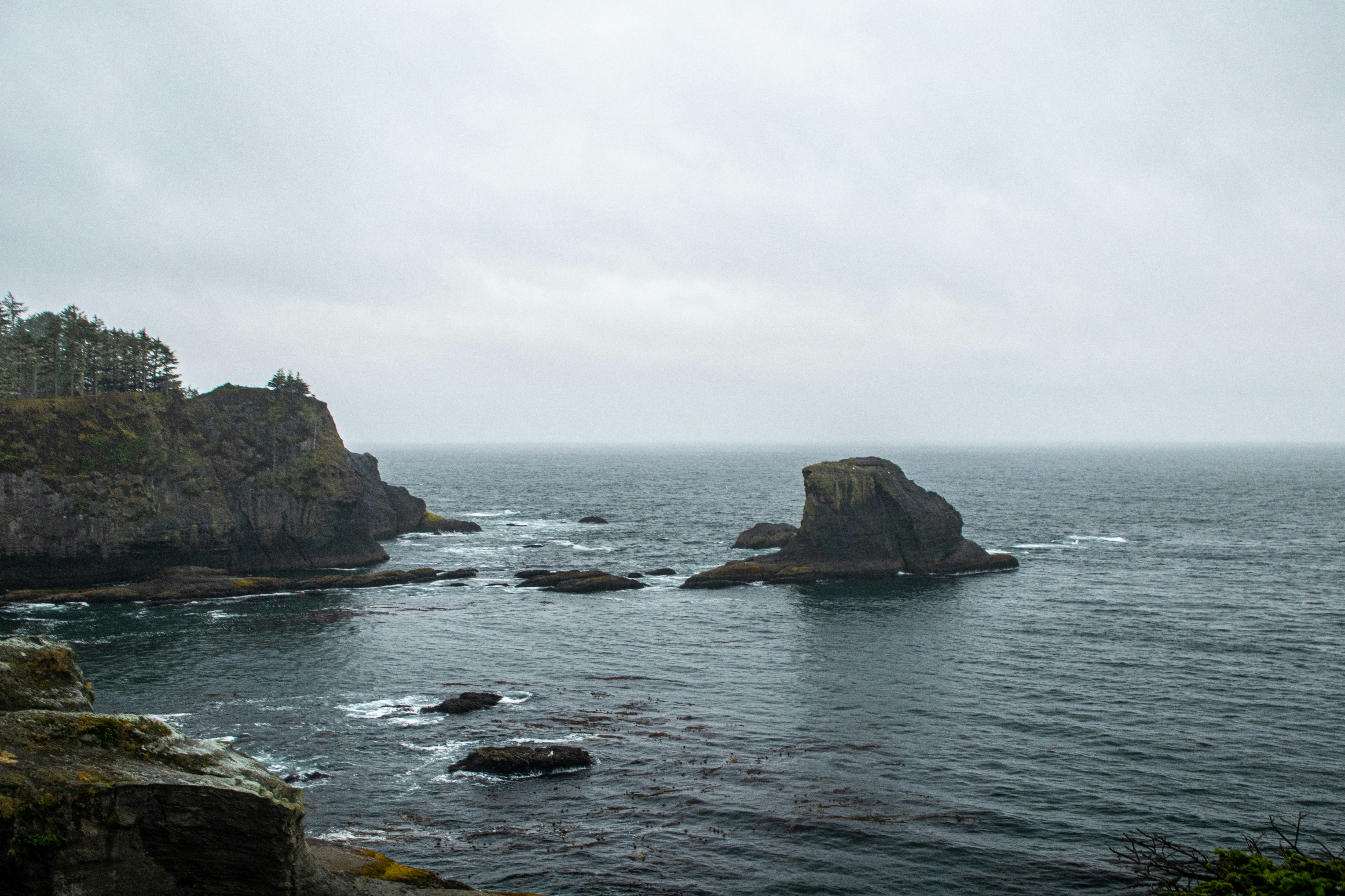 Photo by zoshuacolah