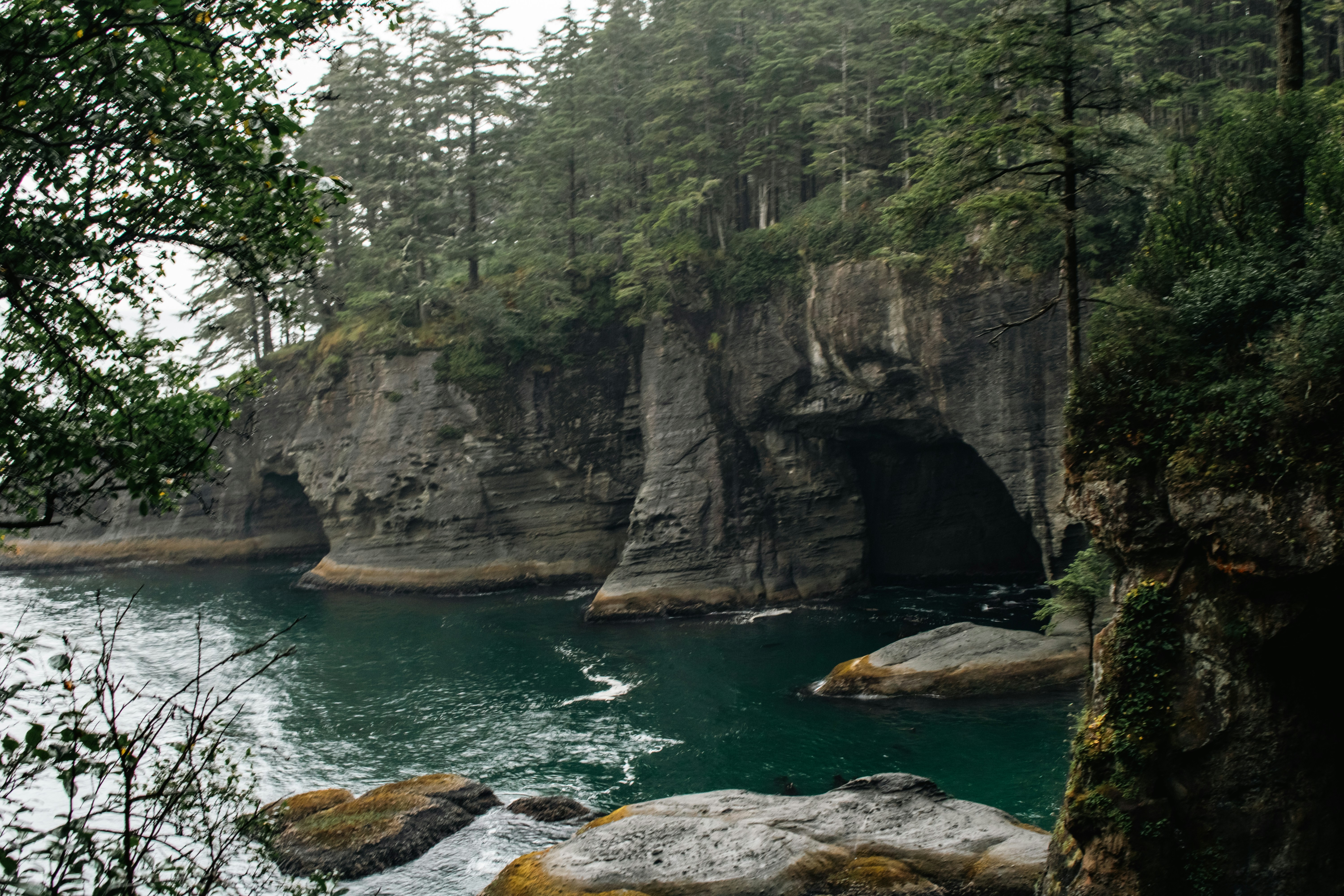 Photo by zoshuacolah