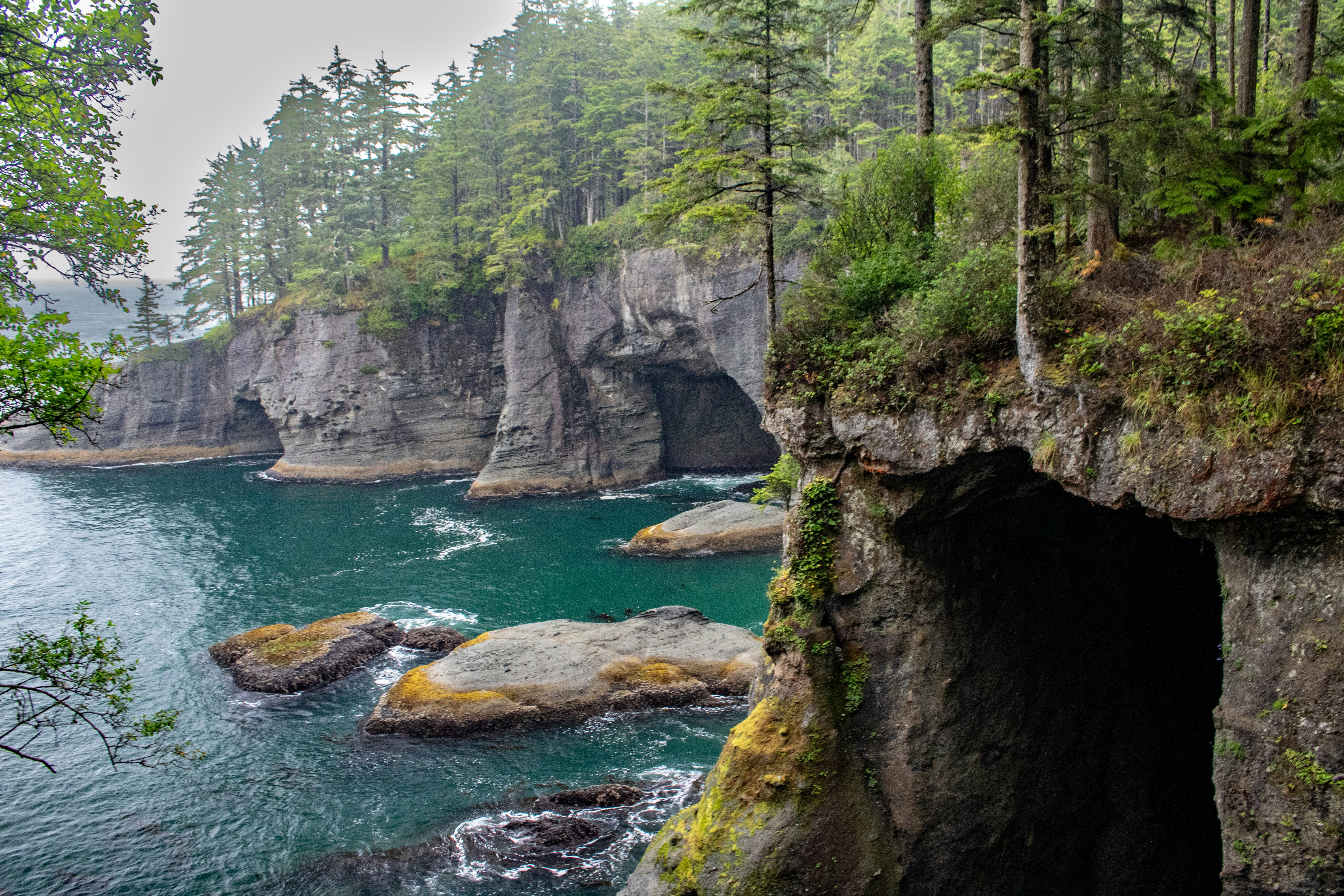 Photo by zoshuacolah