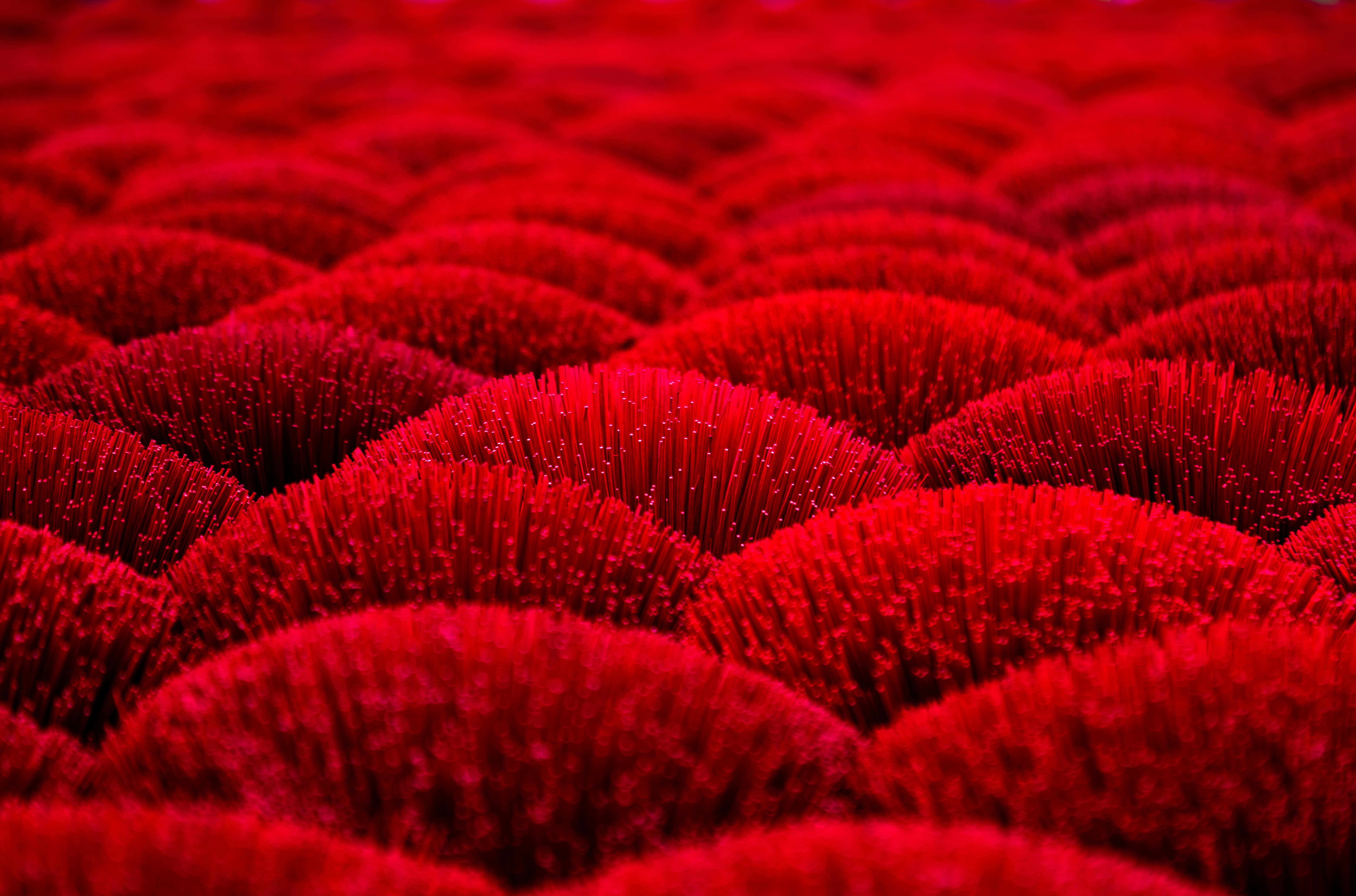 Red carpet glamour close-up