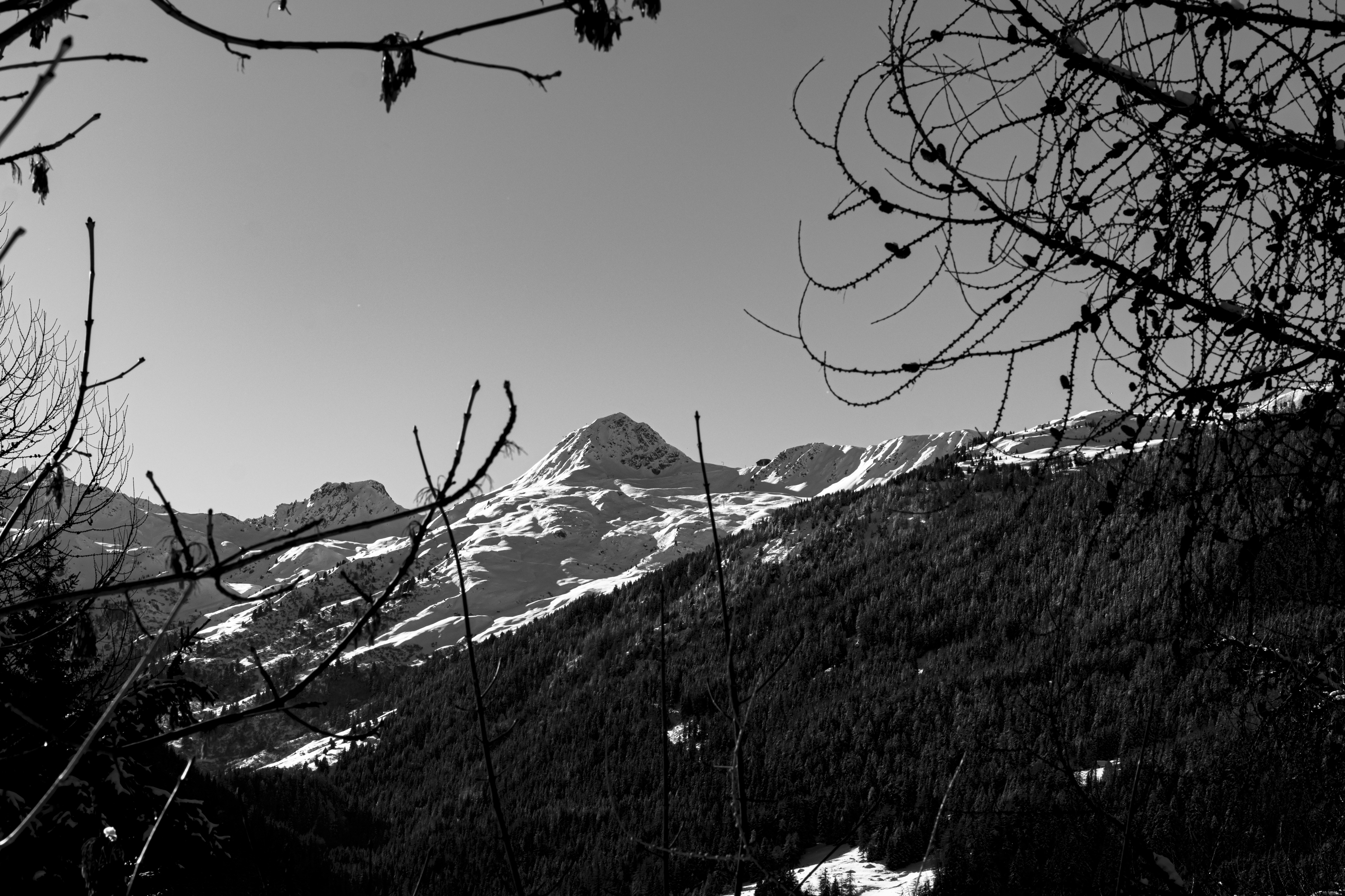 Photo by britosebastian