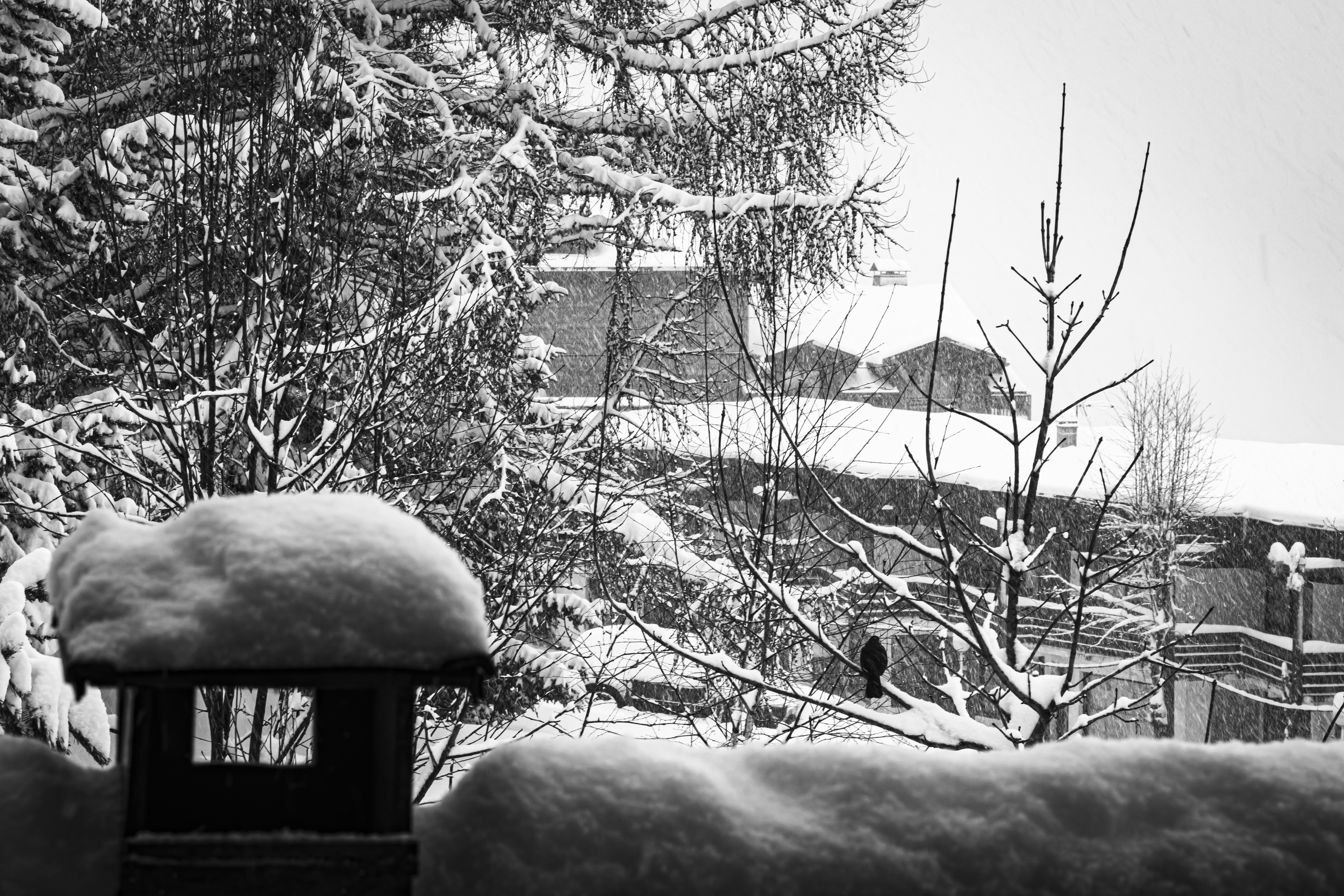 Photo by britosebastian