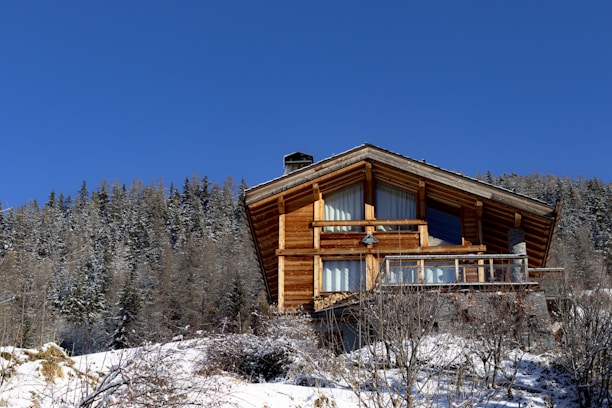 A log cabin in the middle of a snowy forest