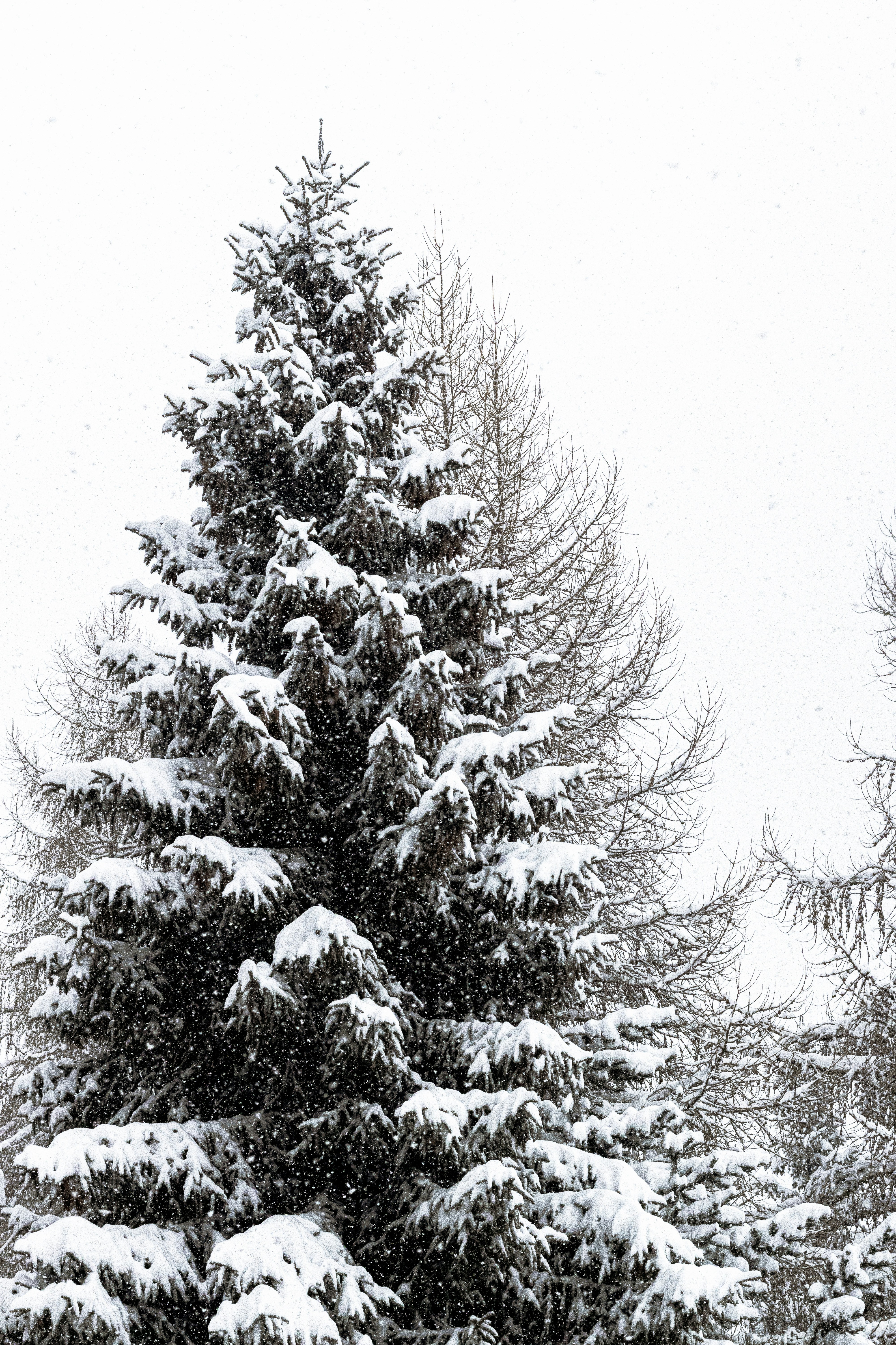 Photo by britosebastian