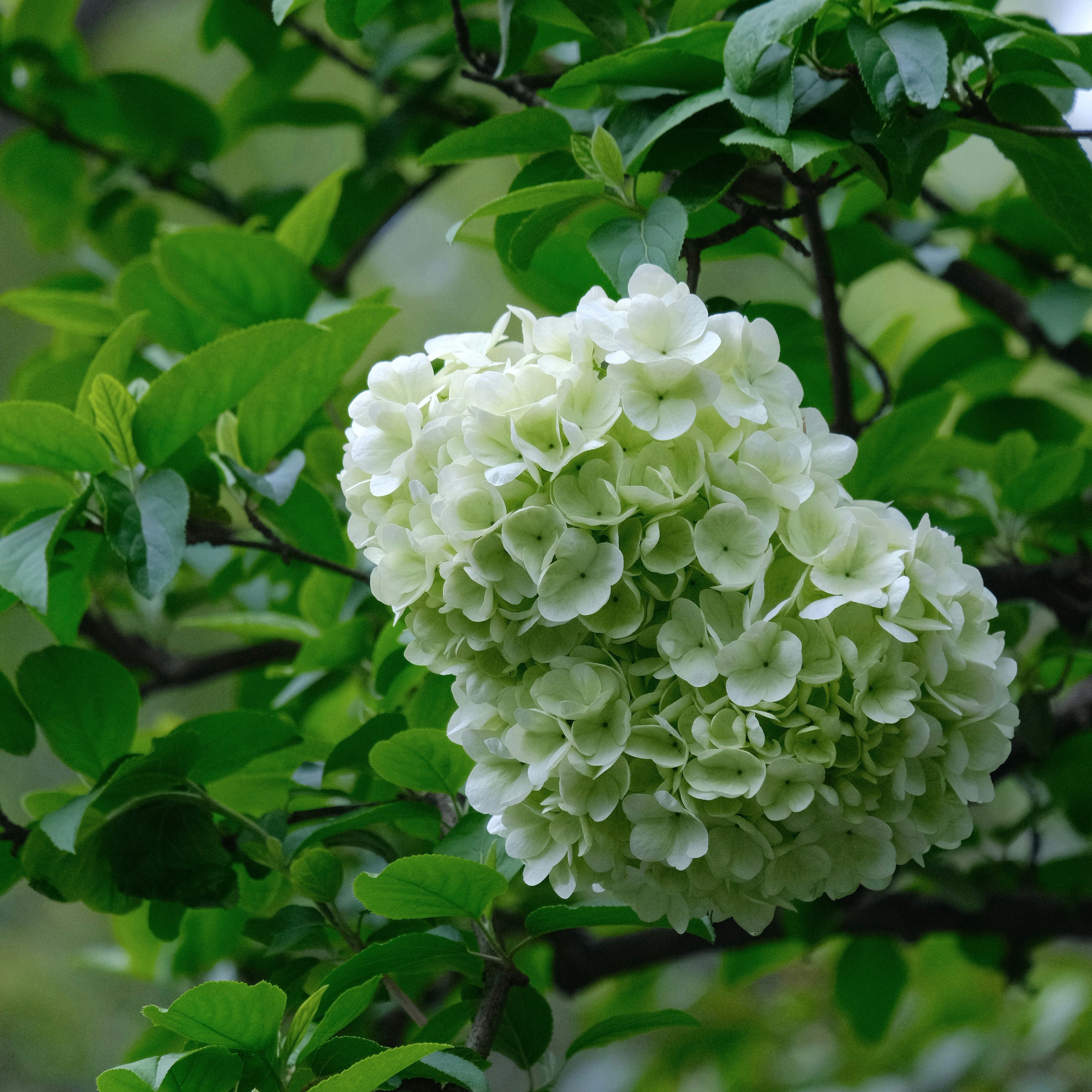 Photo by sinjintsang