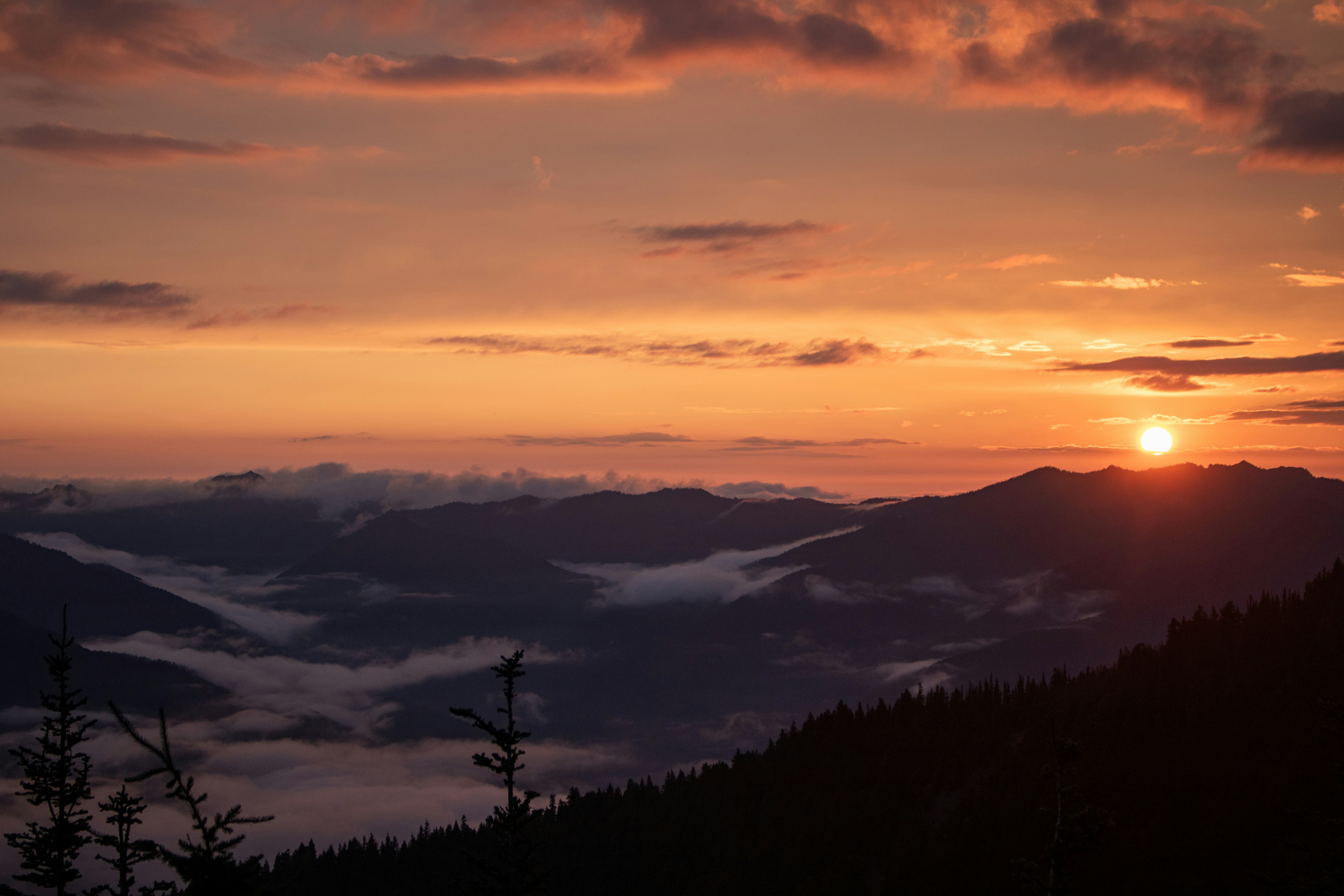 Photo by zoshuacolah