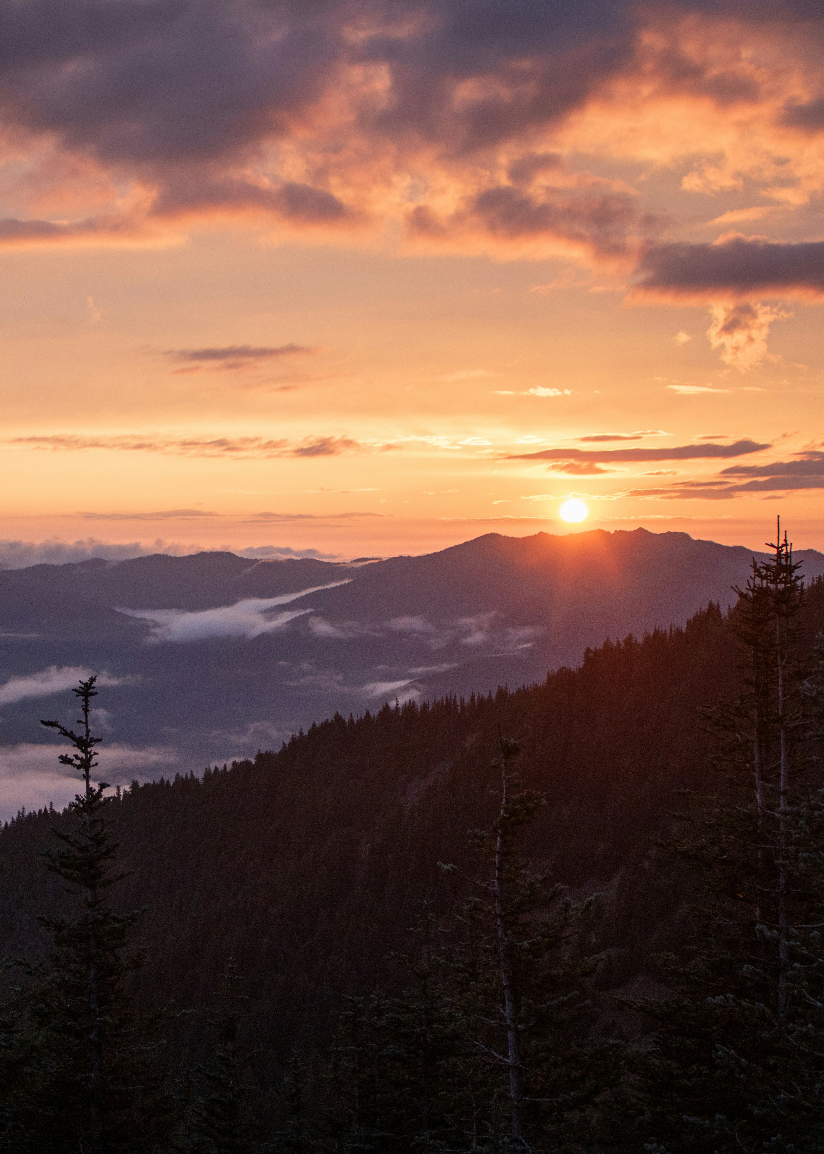 Photo by zoshuacolah