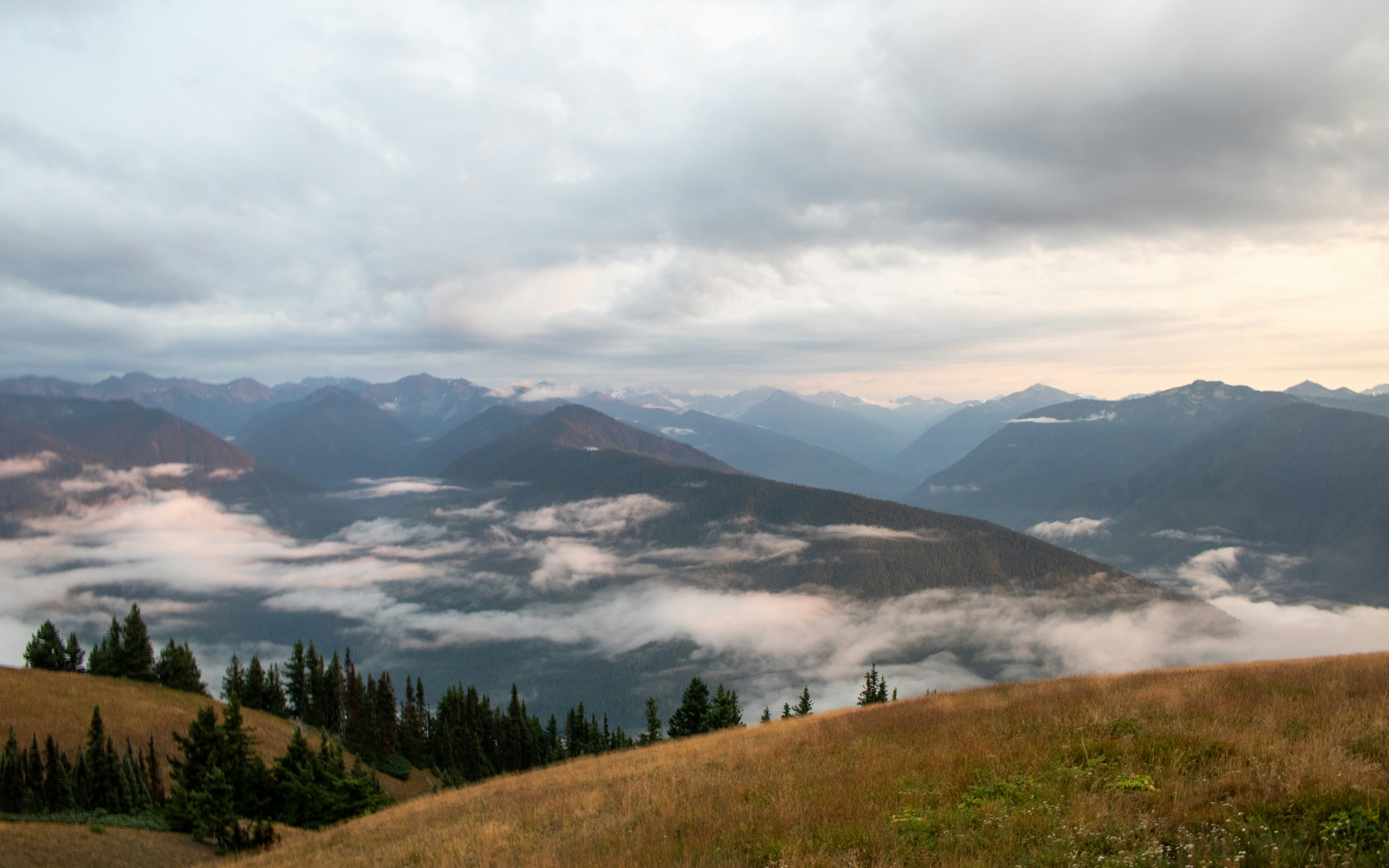 Photo by zoshuacolah