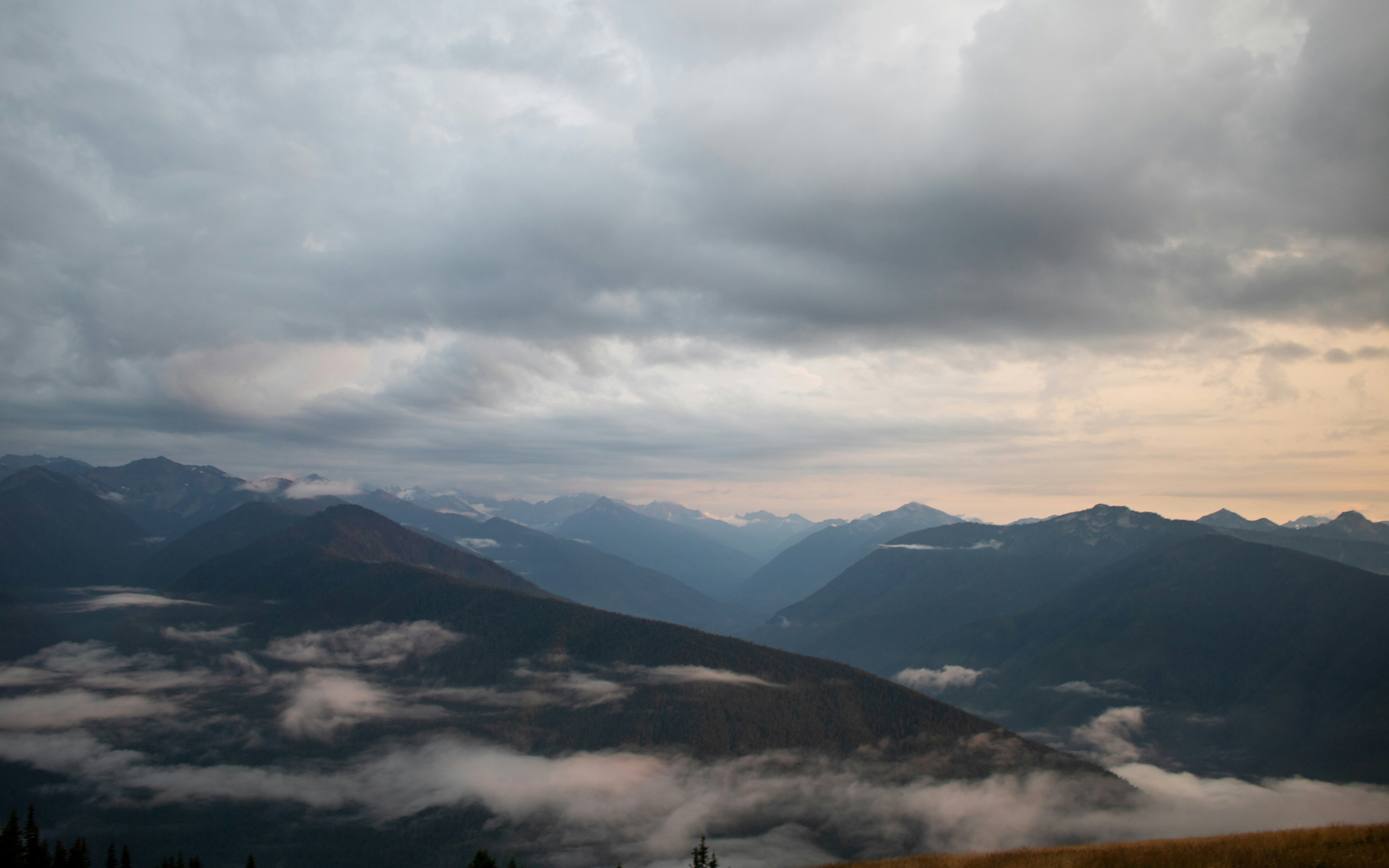 Photo by zoshuacolah