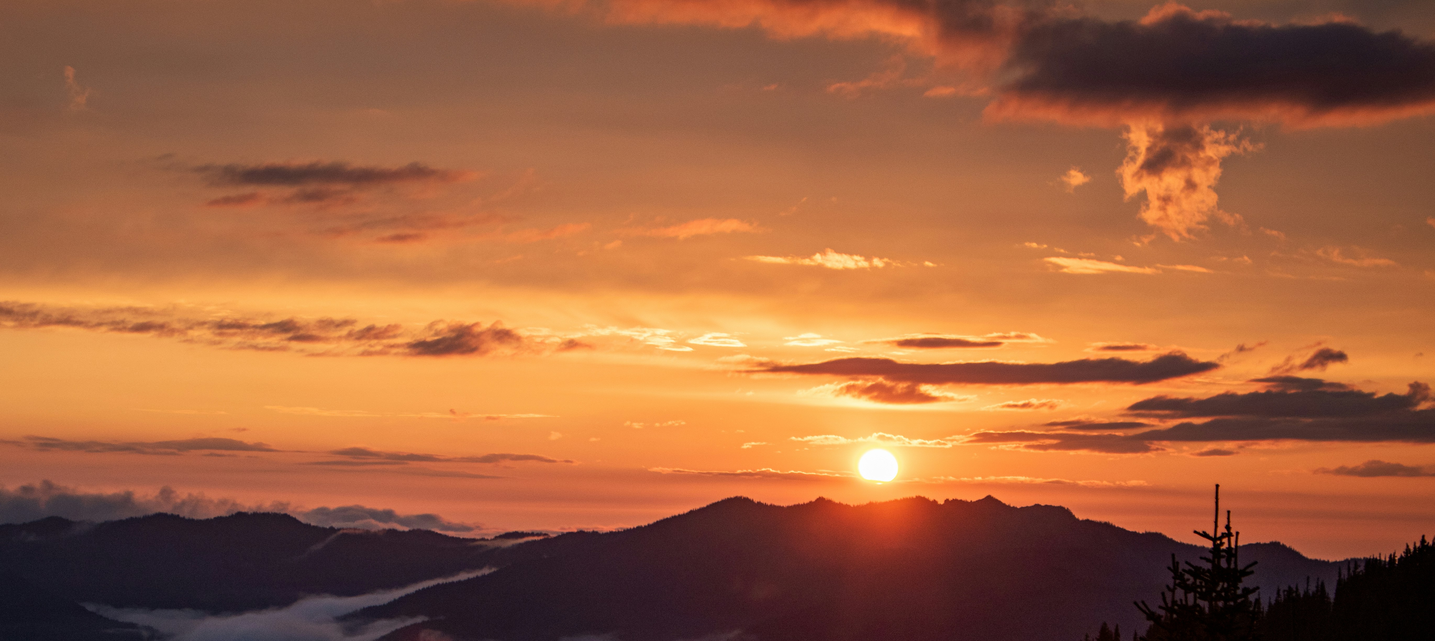 Photo by zoshuacolah