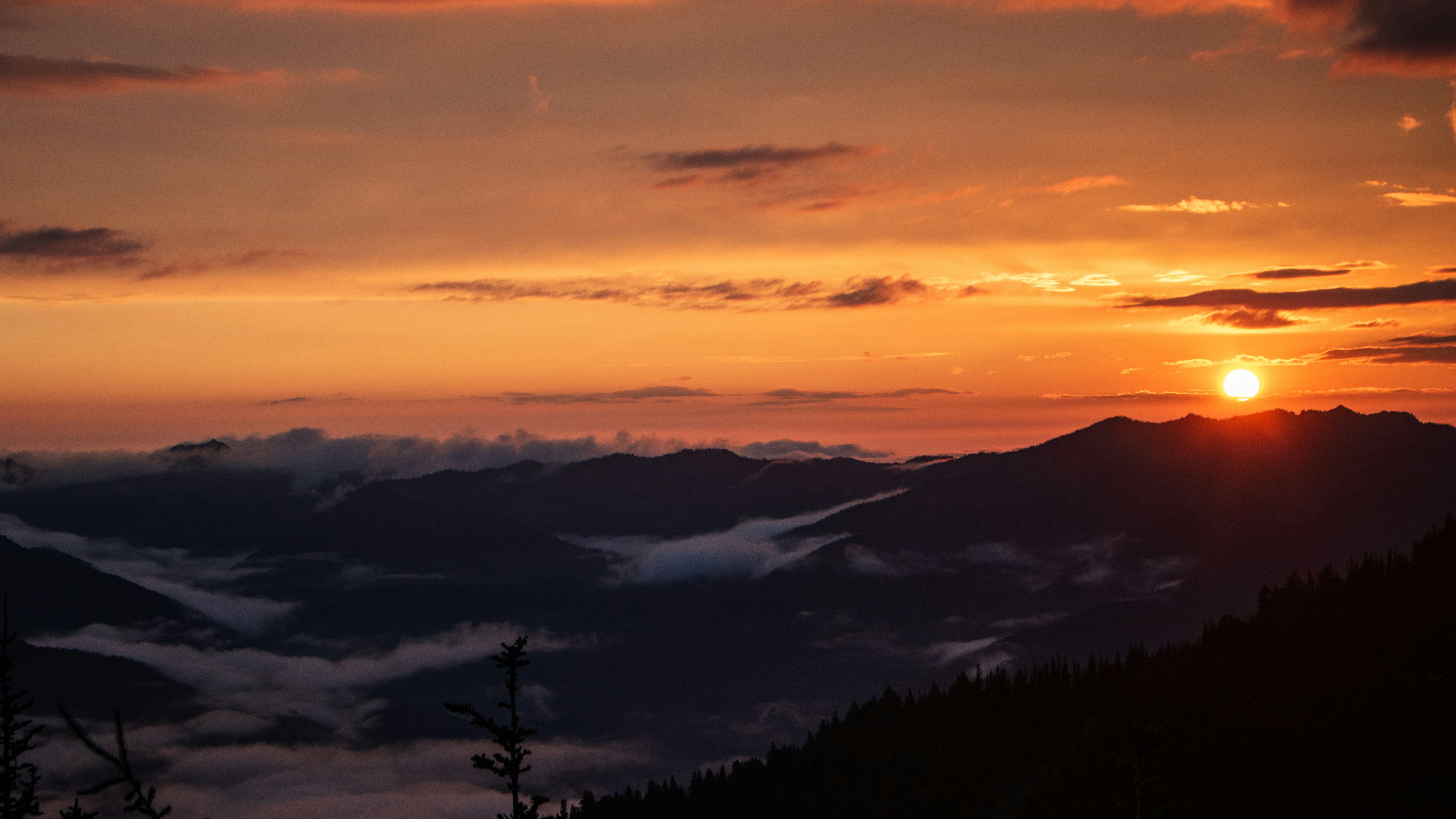 Photo by zoshuacolah