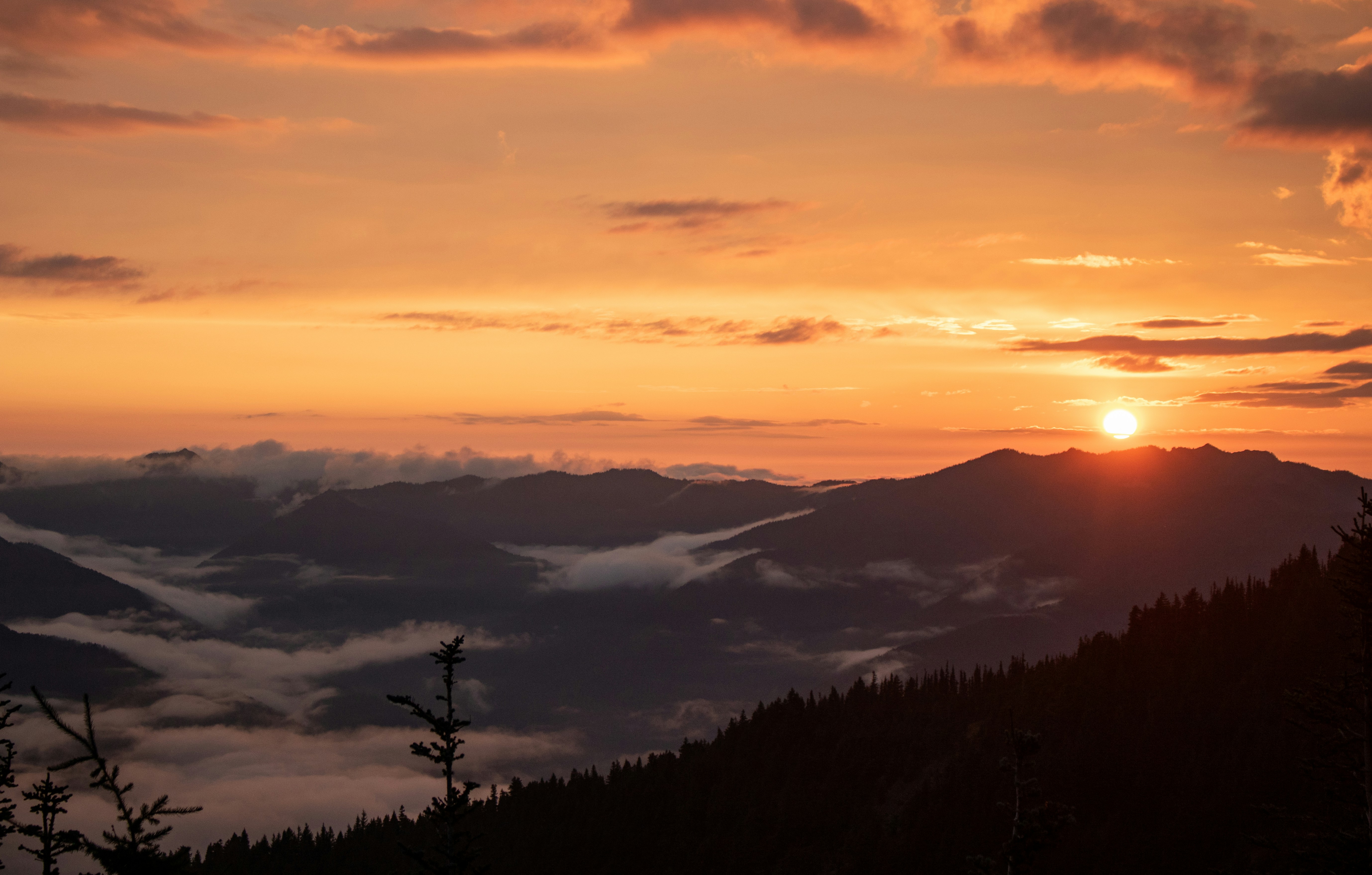 Photo by zoshuacolah