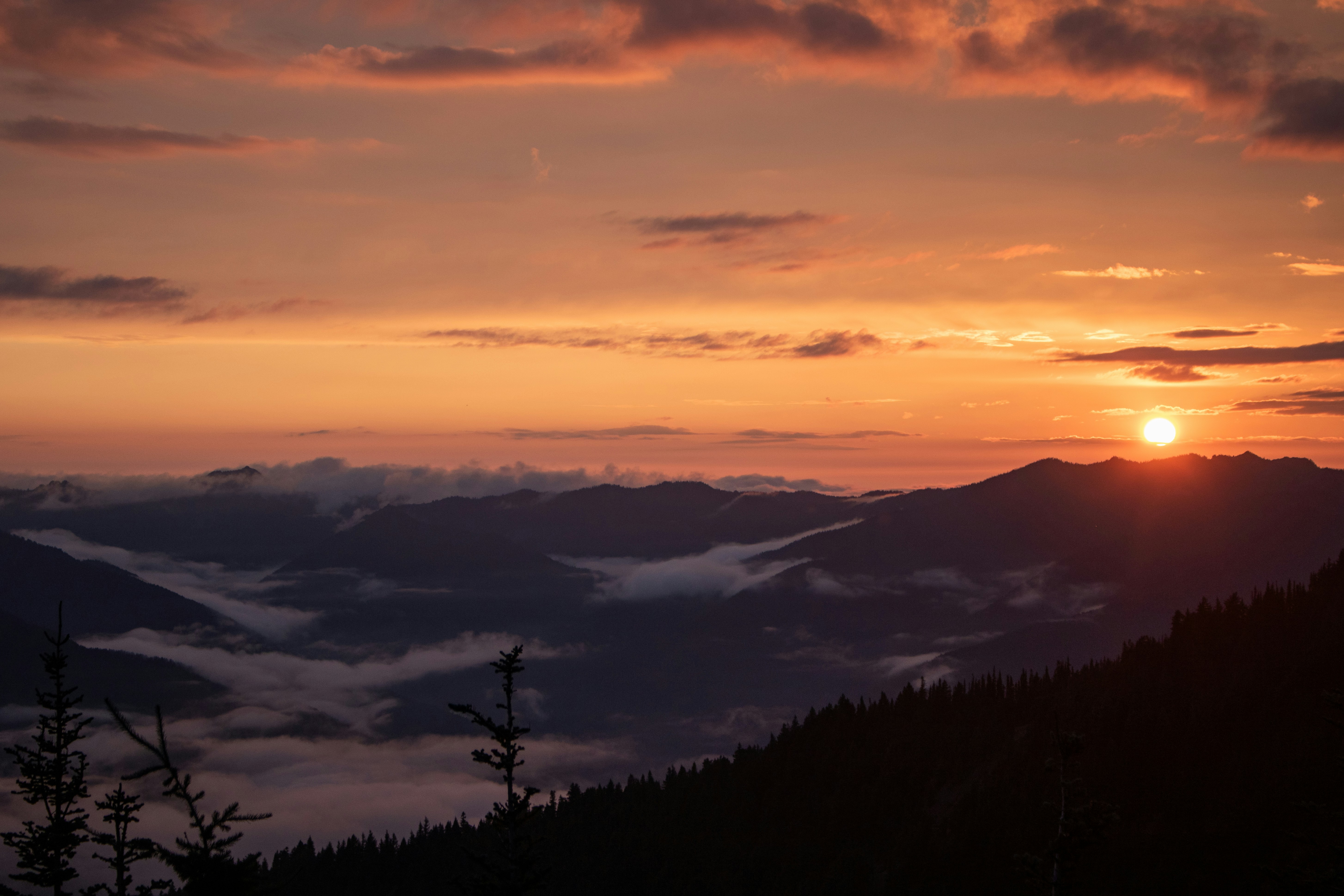 Photo by zoshuacolah