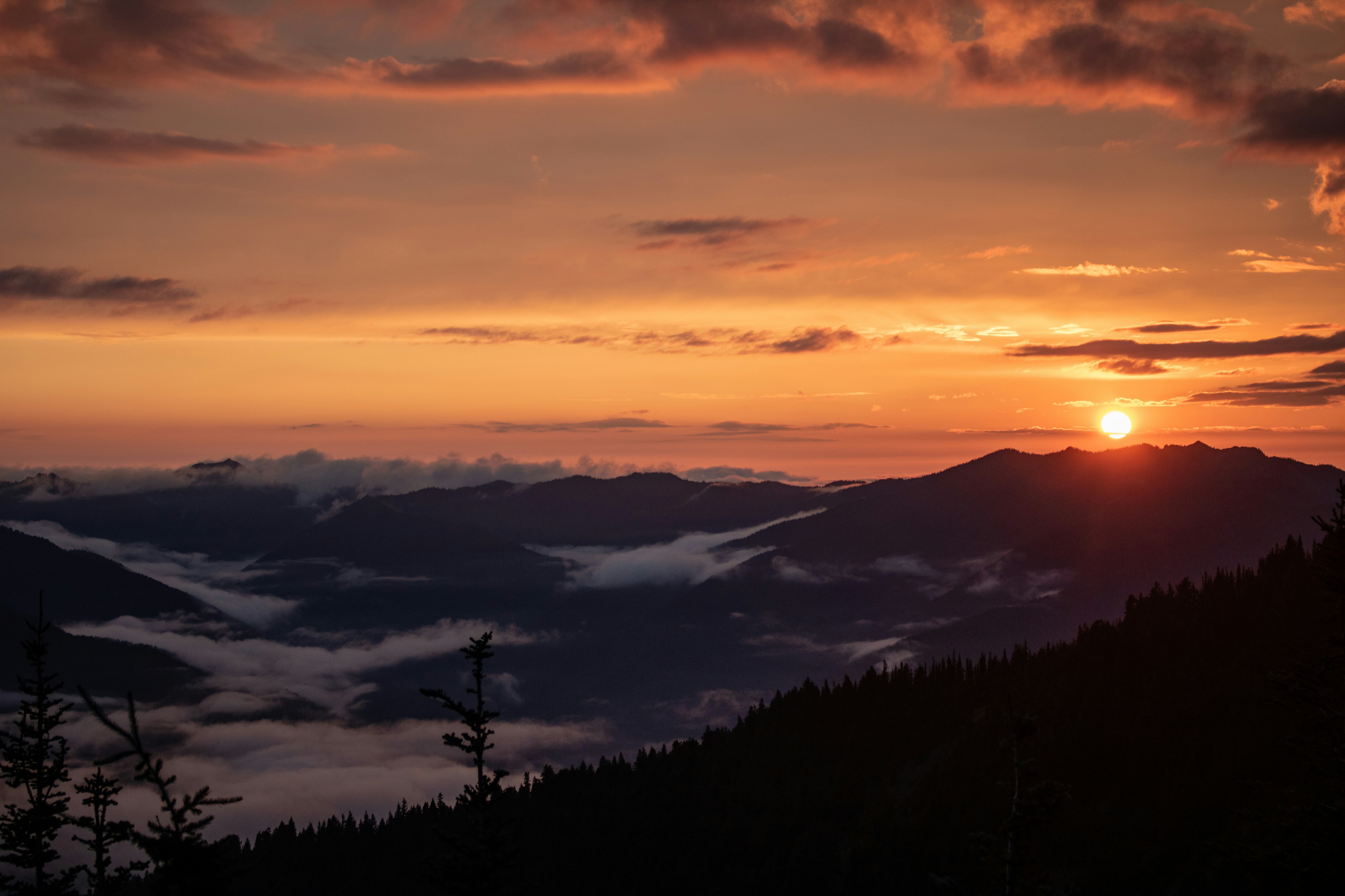 Photo by zoshuacolah