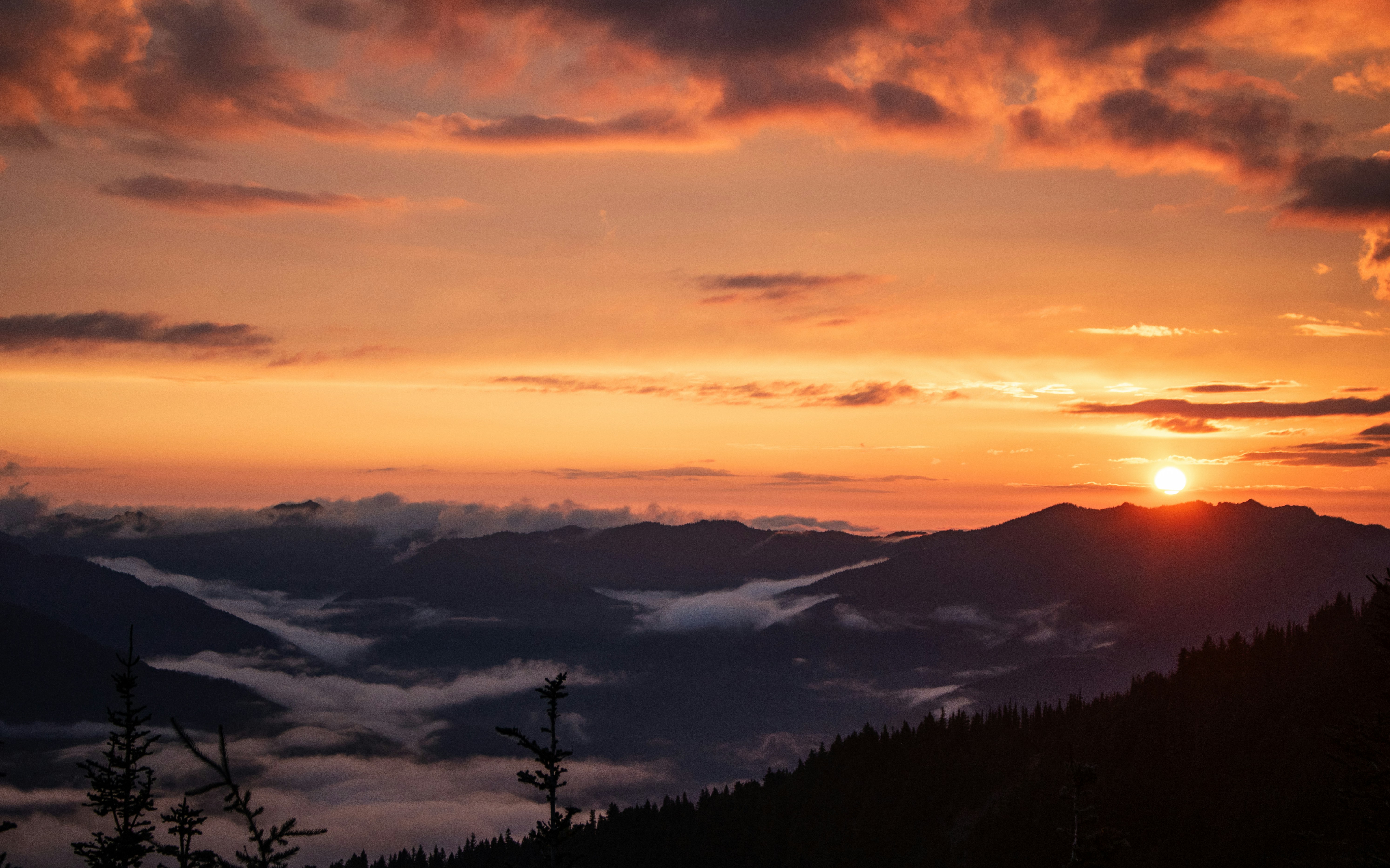 Photo by zoshuacolah