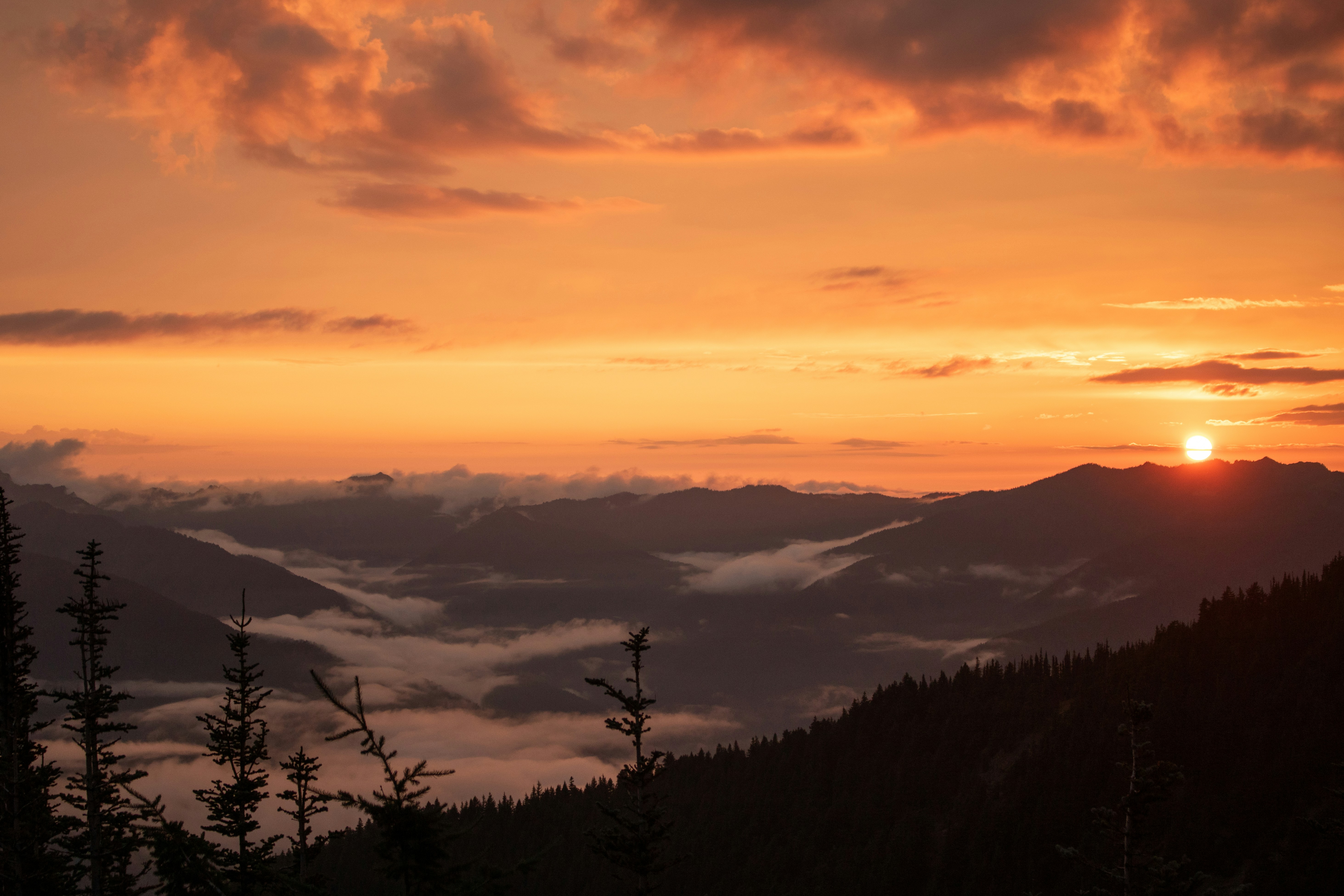 Photo by zoshuacolah