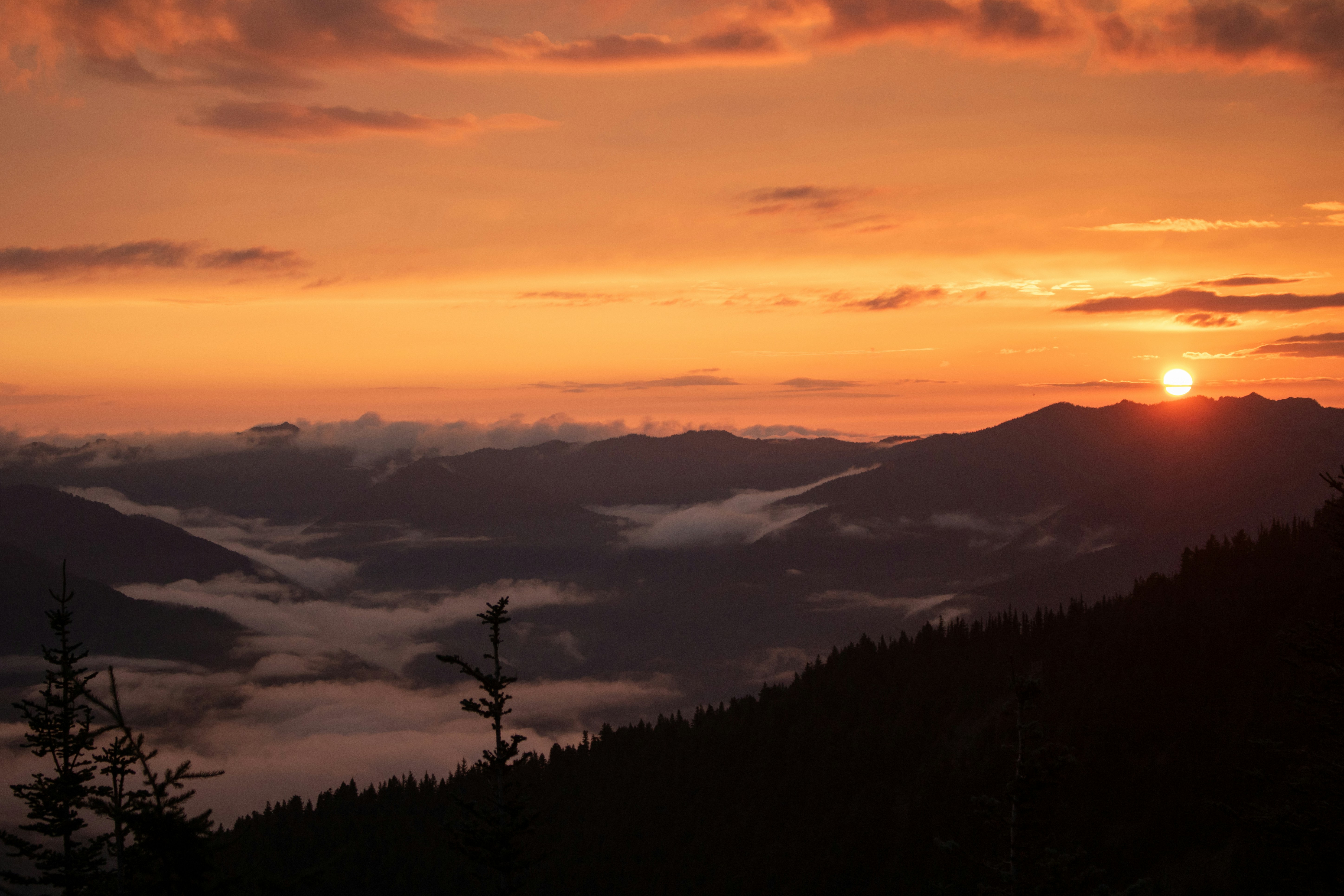 Photo by zoshuacolah