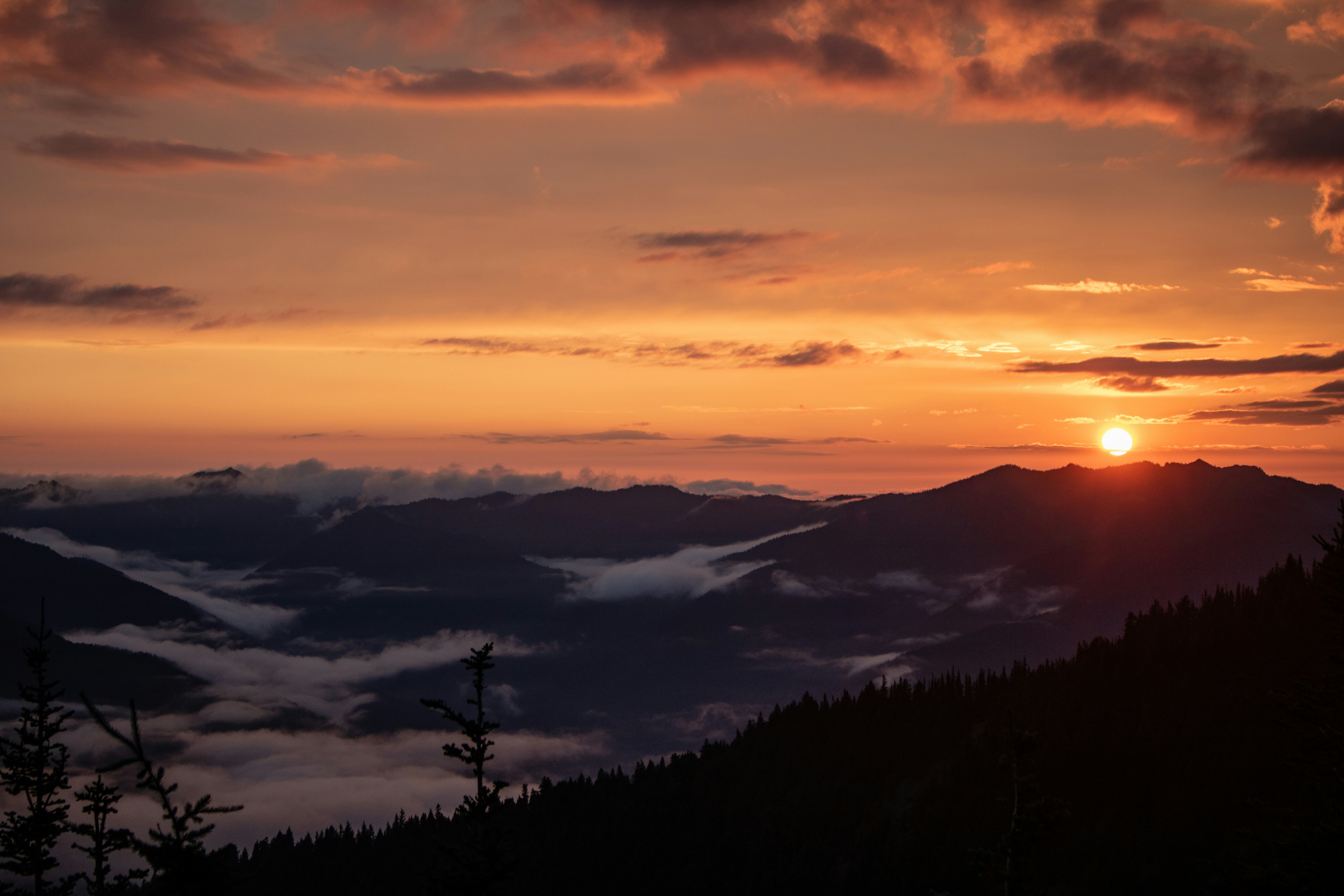 Photo by zoshuacolah