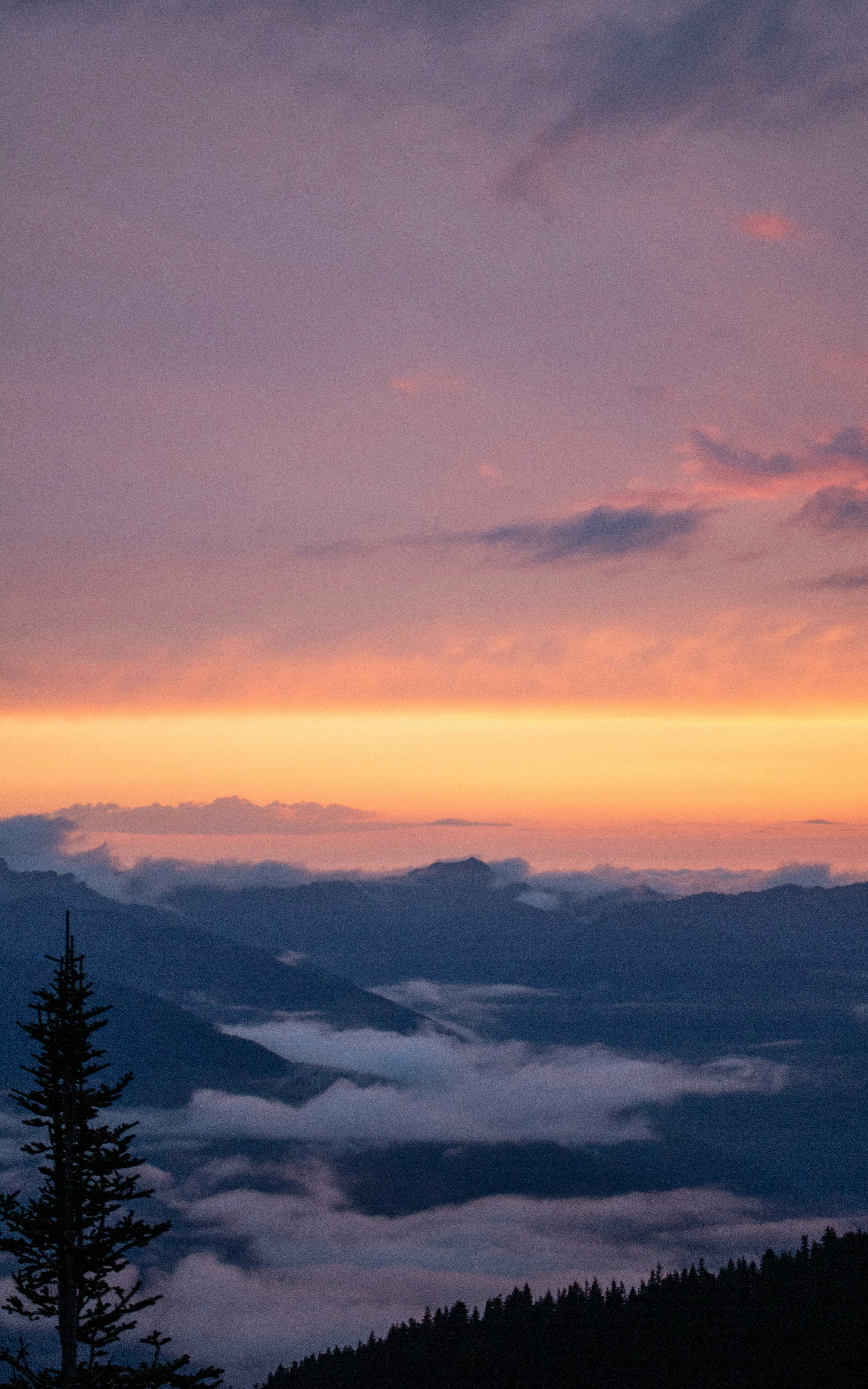 Photo by zoshuacolah