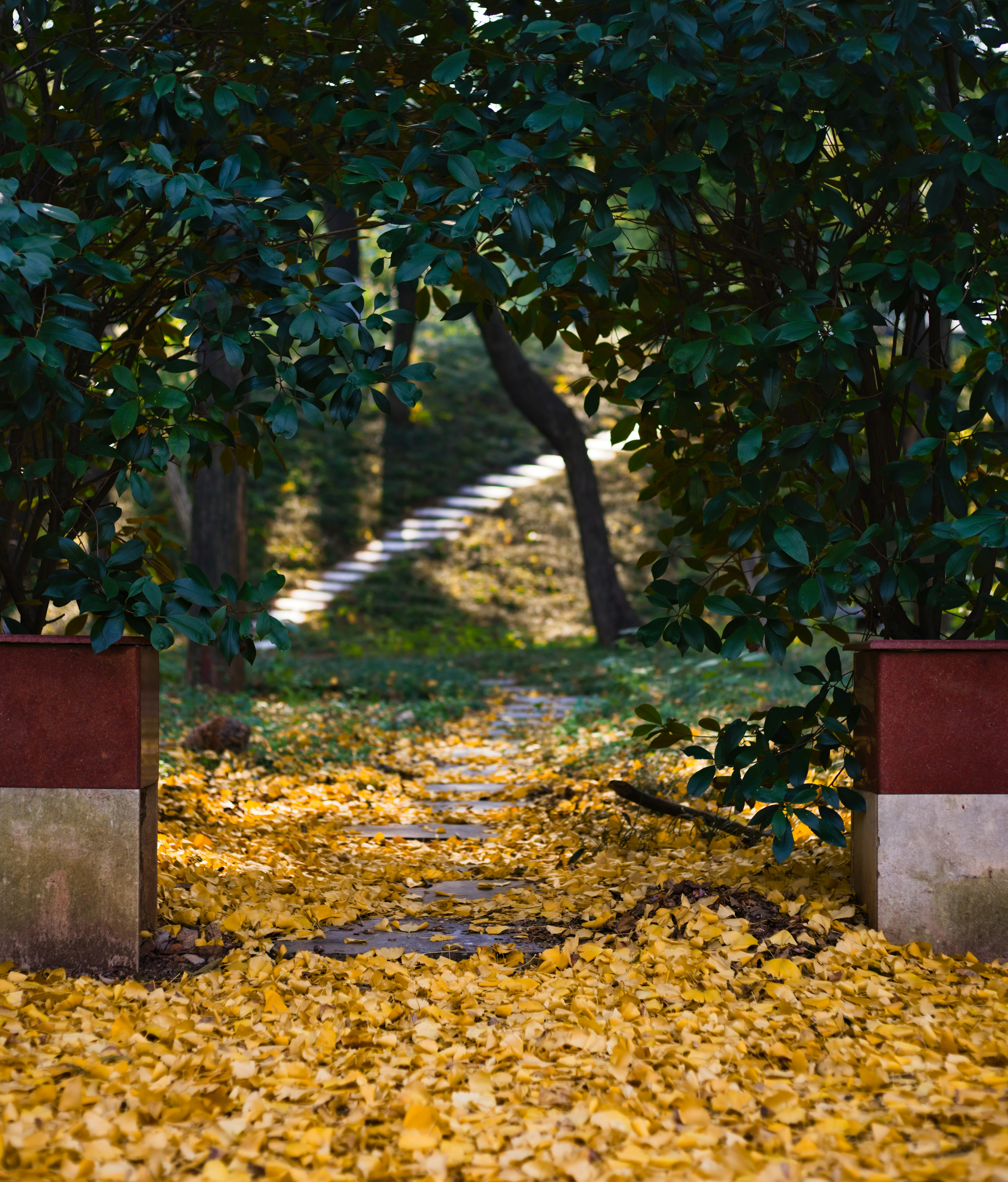 Ein paar Bänke standen auf einem mit Laub bedeckten Boden