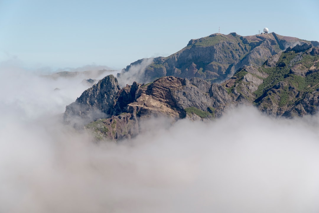 Arthgold 缓解关节疼痛真的有效吗