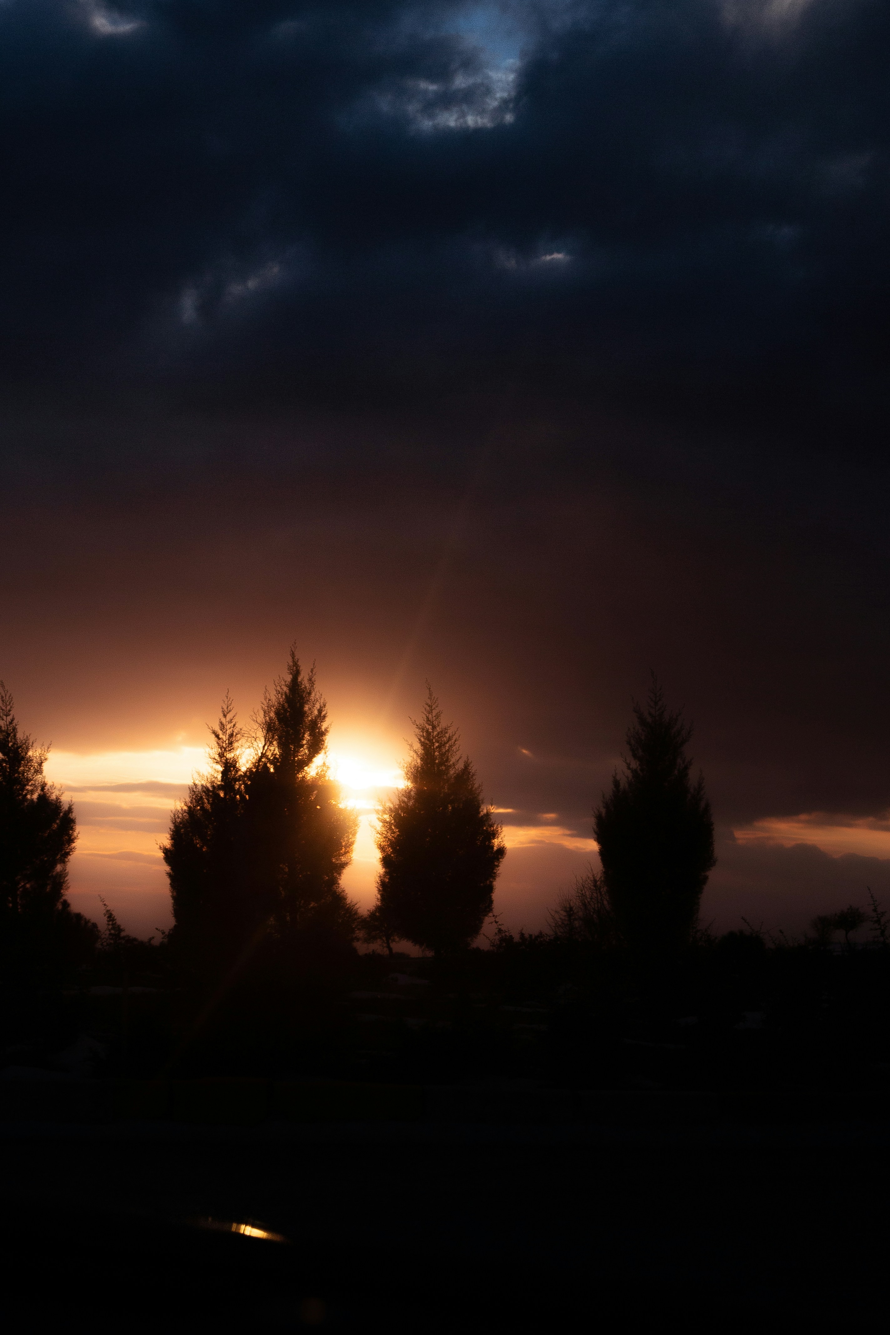 Die Sonne geht hinter einigen Bäumen unter