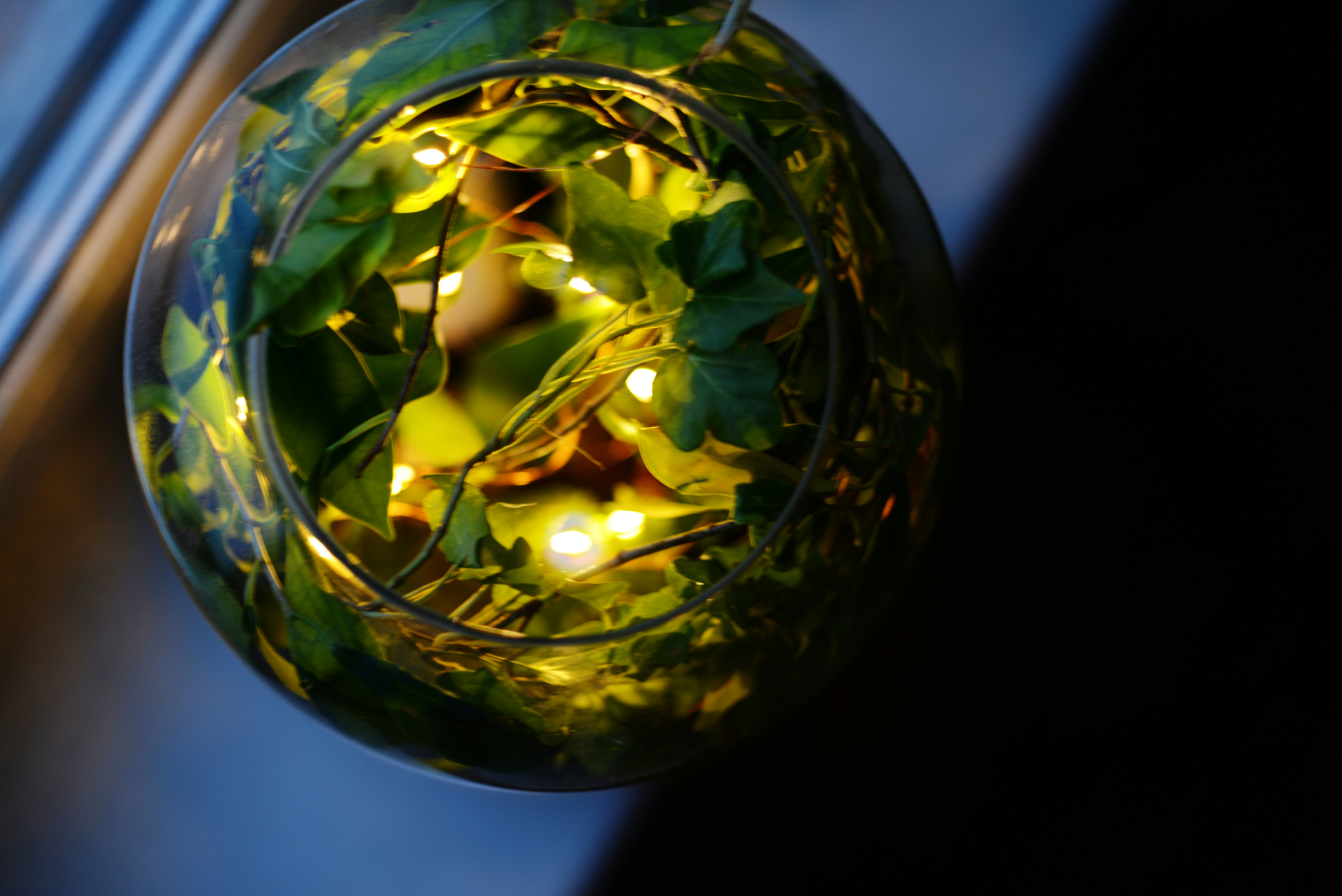 Photo by cherstve_pechivo