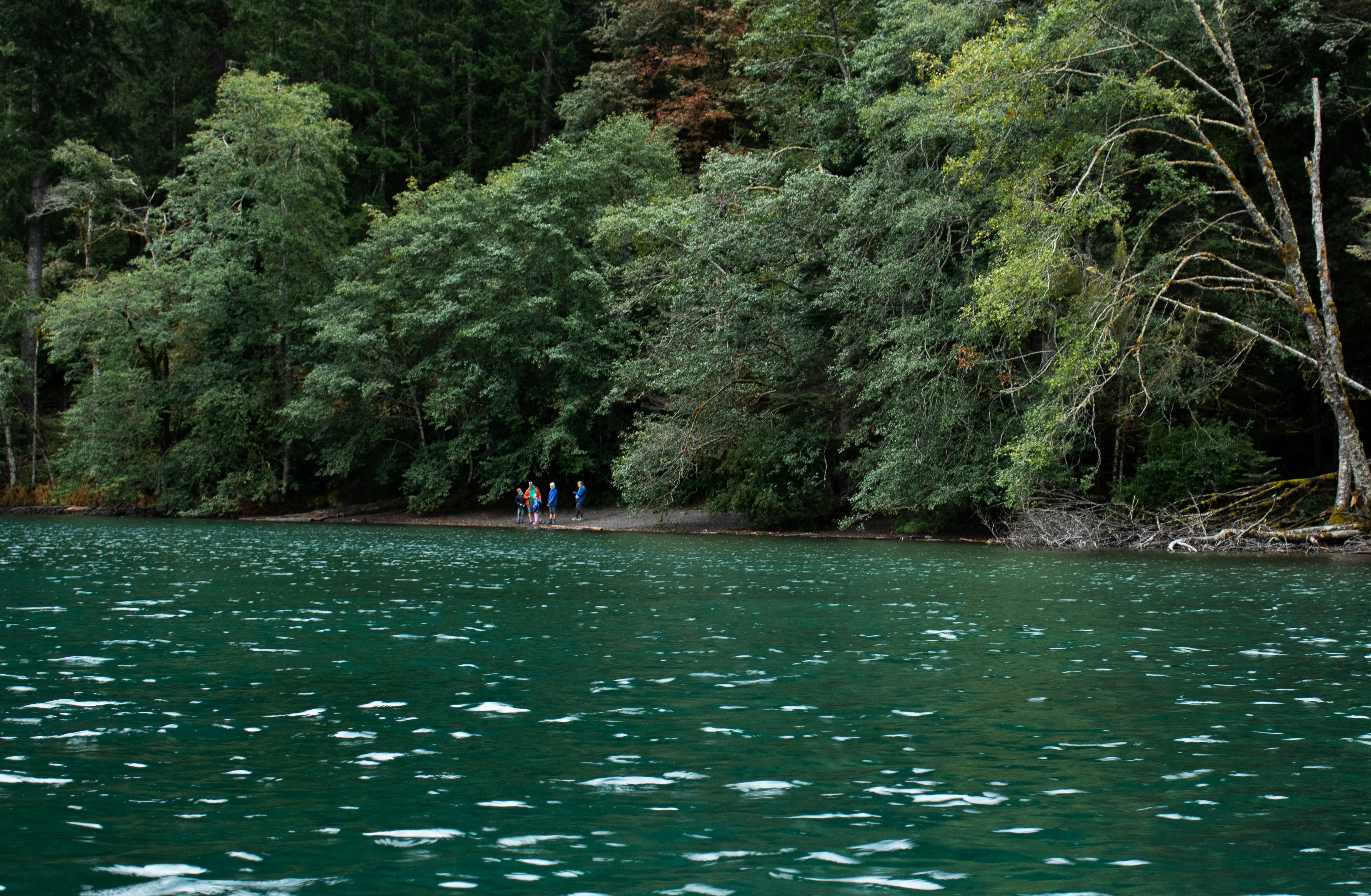 Photo by zoshuacolah