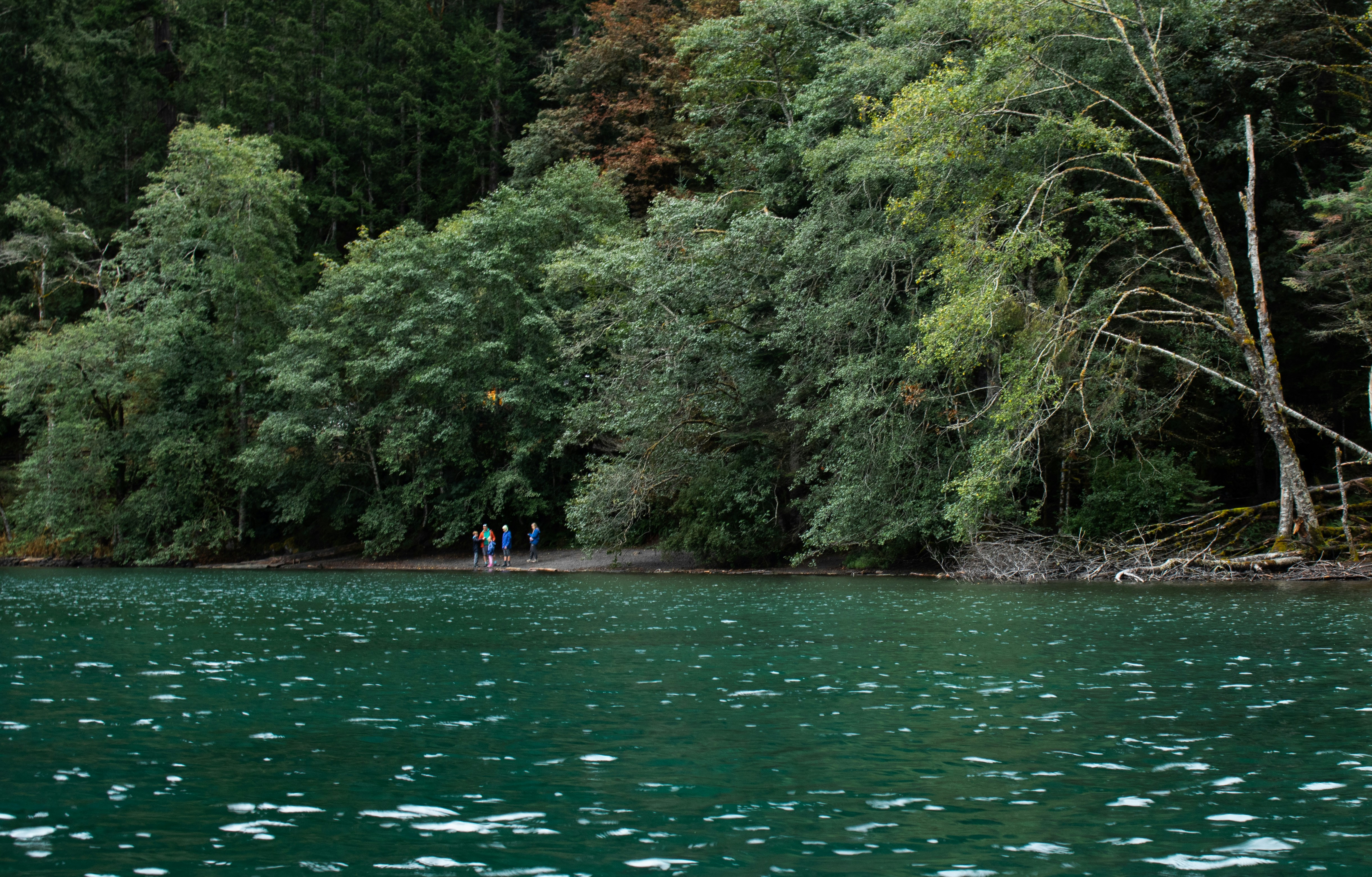 Photo by zoshuacolah