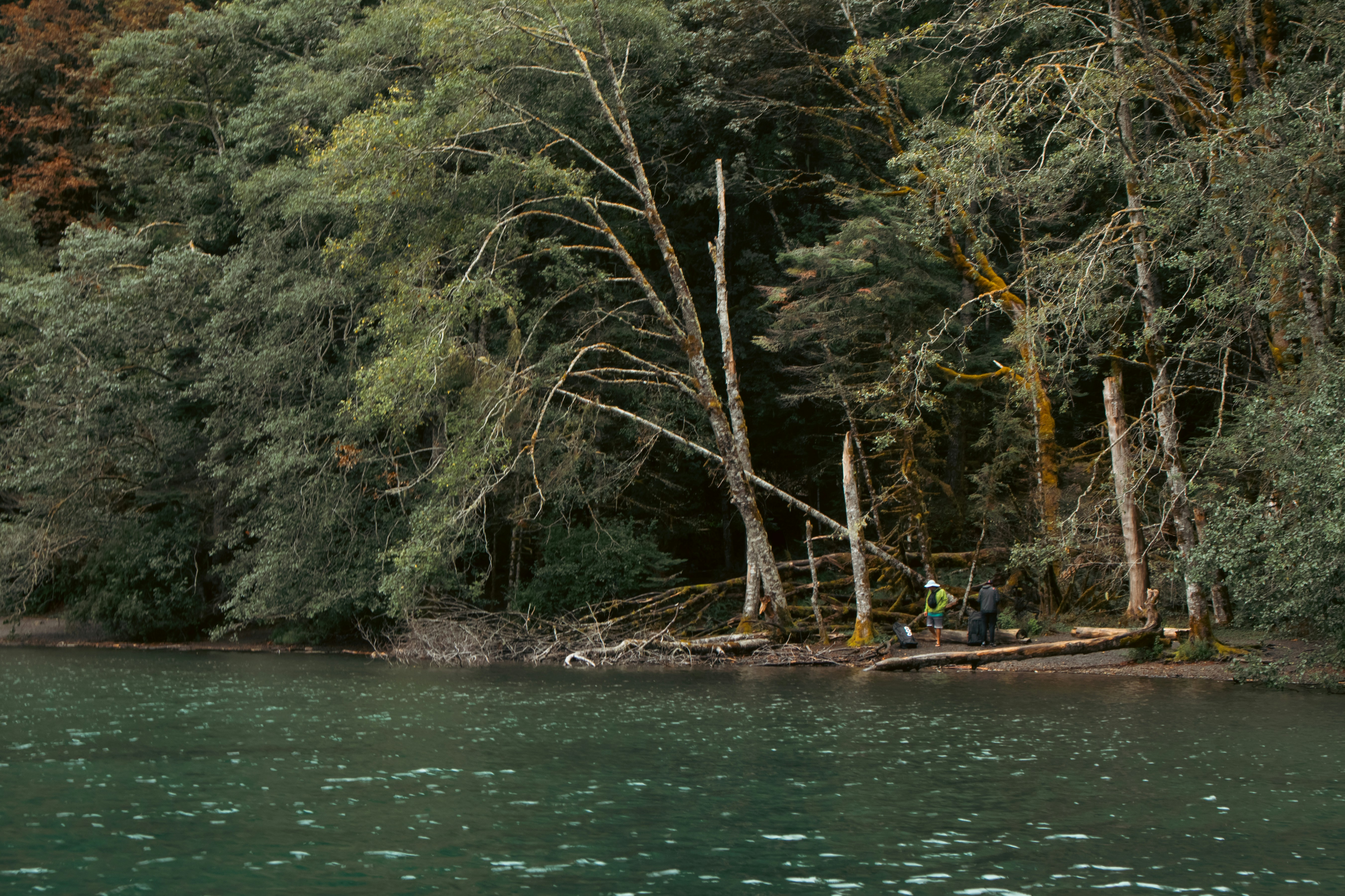 Photo by zoshuacolah