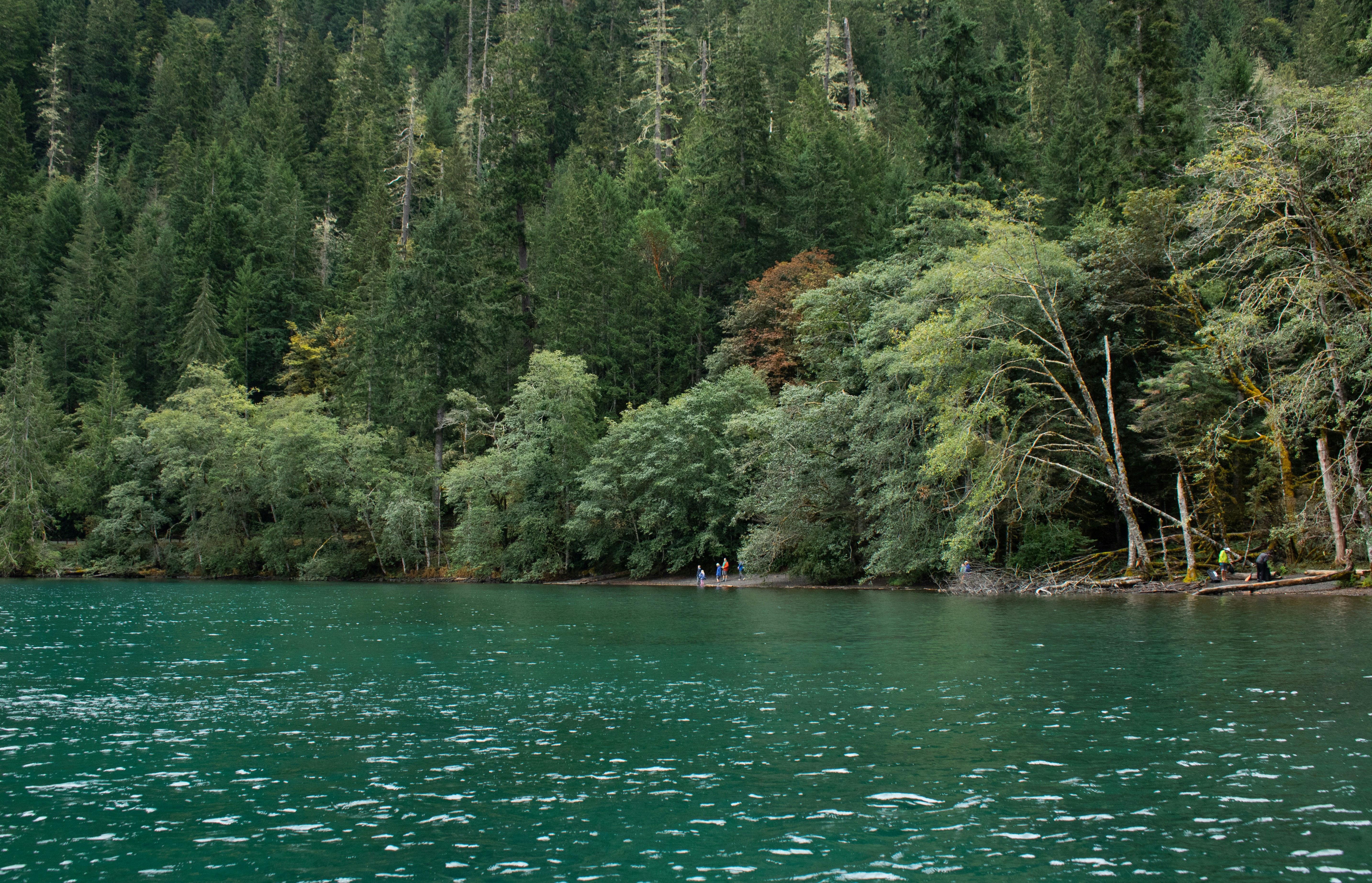 Photo by zoshuacolah