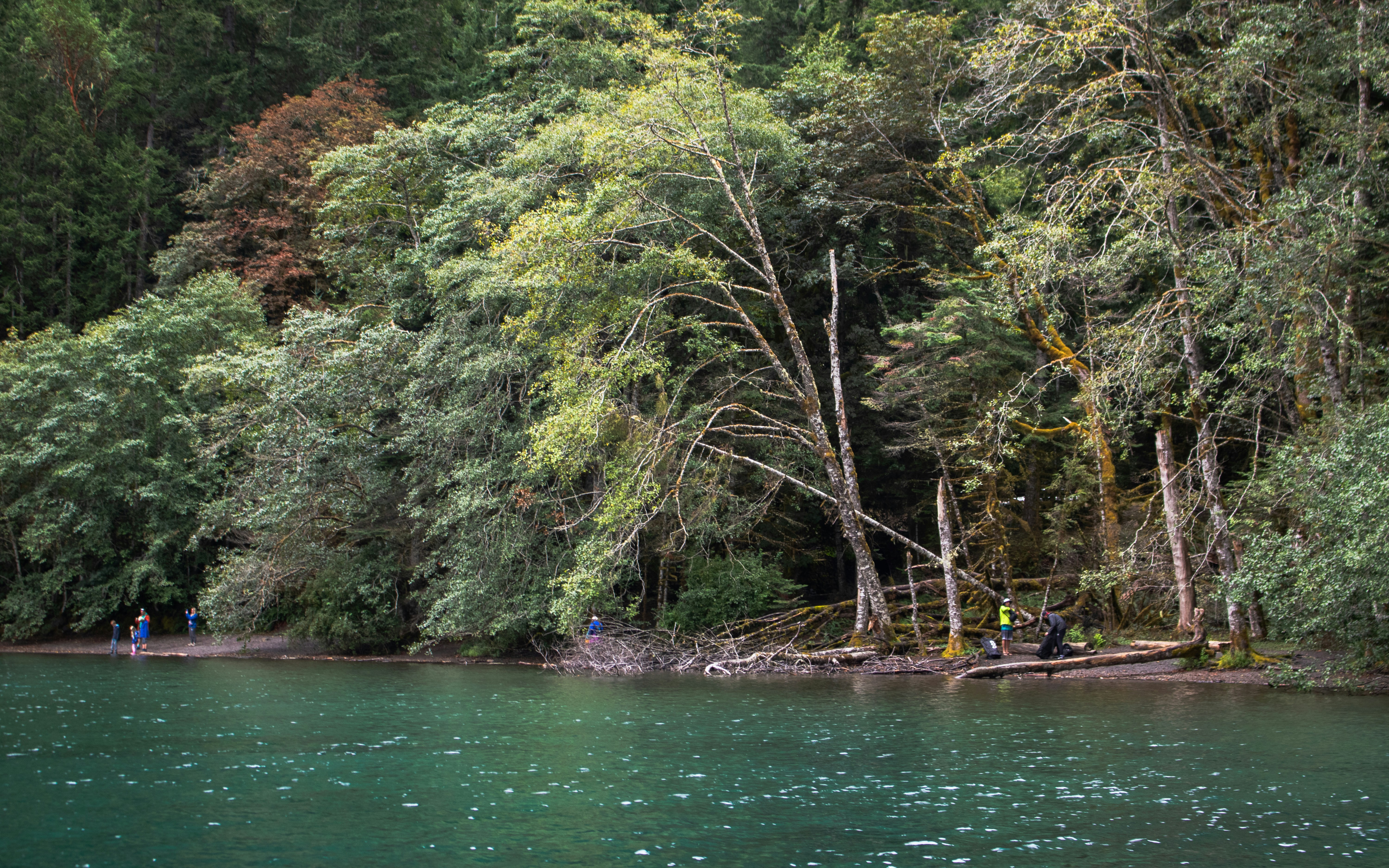 Photo by zoshuacolah