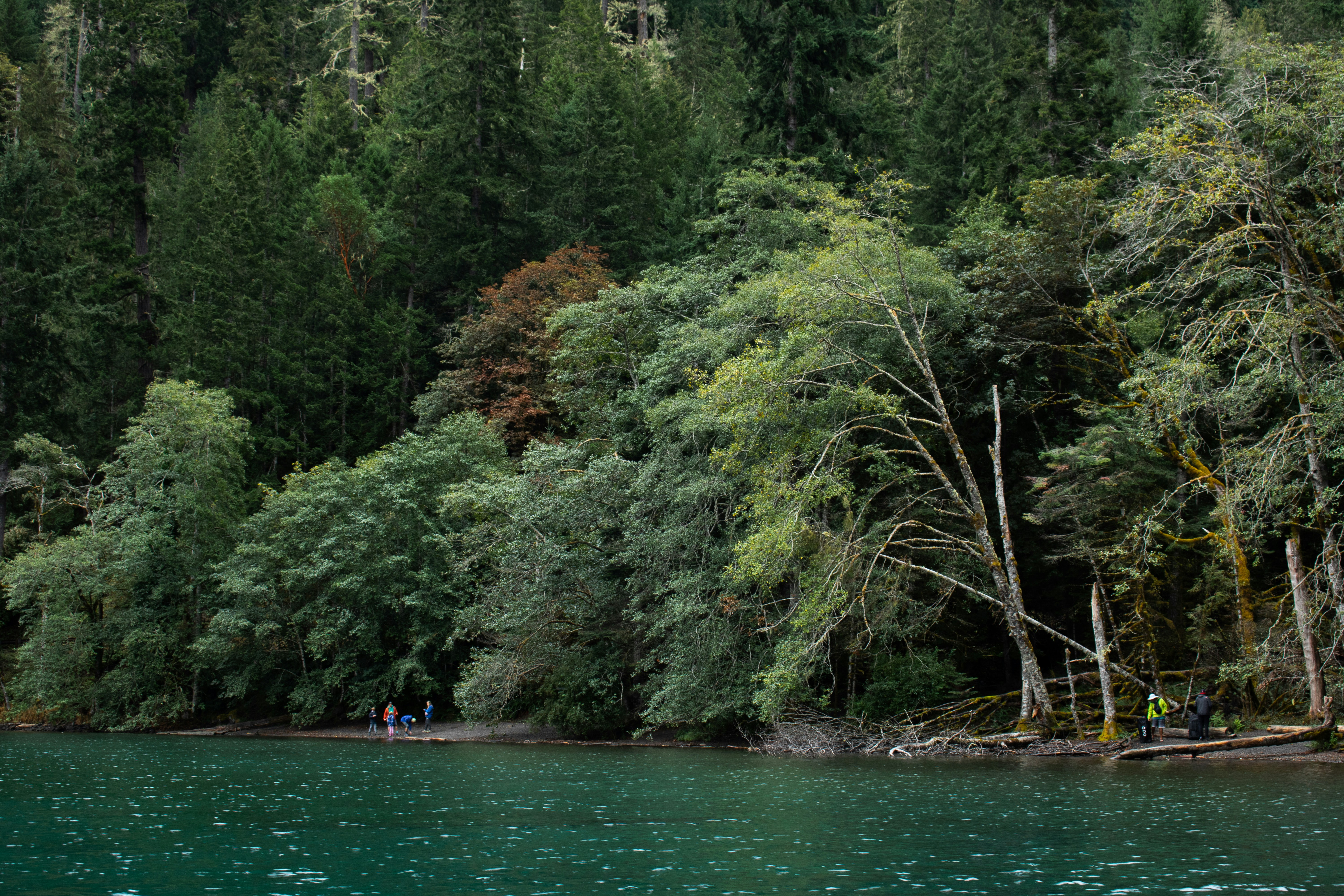 Photo by zoshuacolah