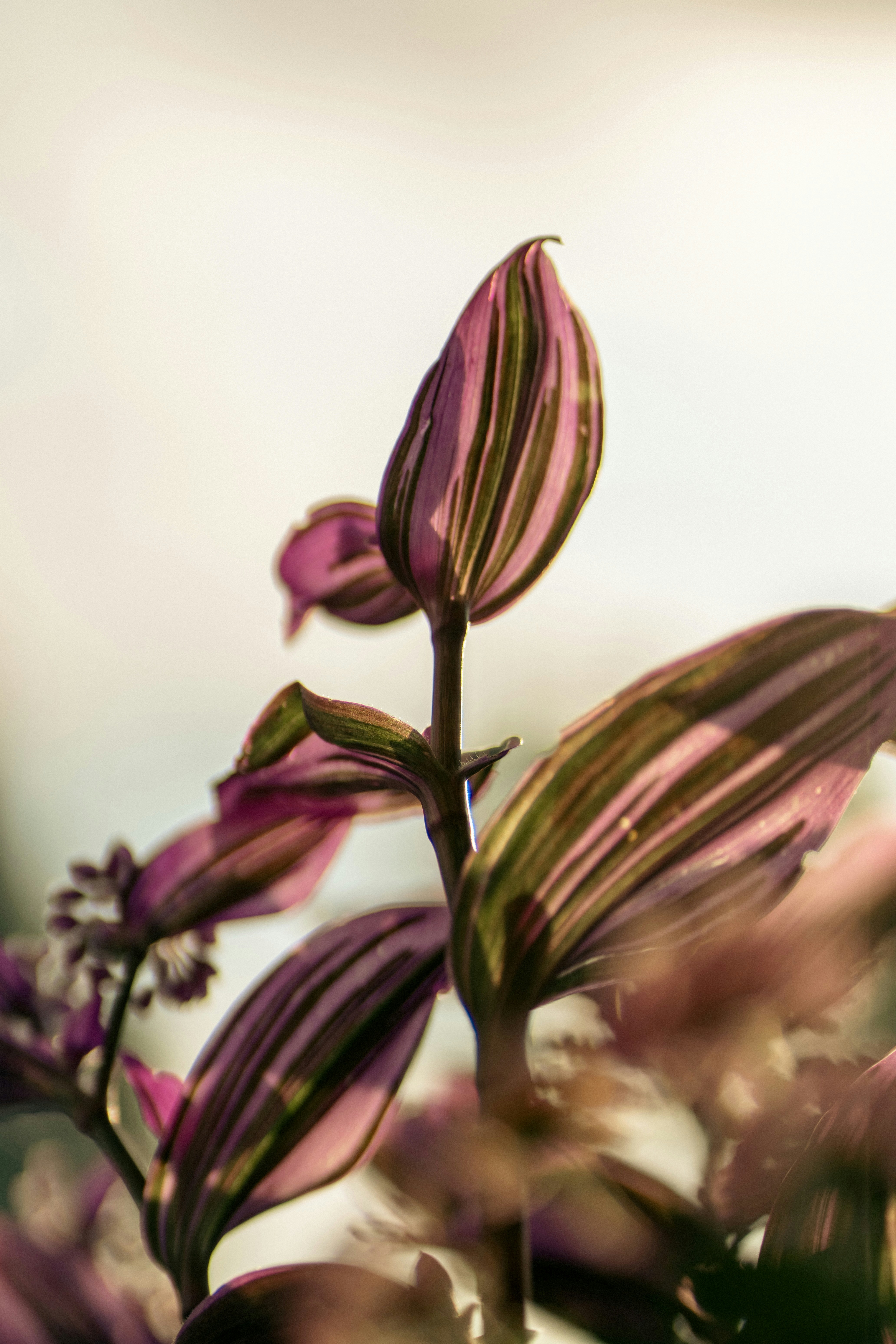 Photo by millerxmason