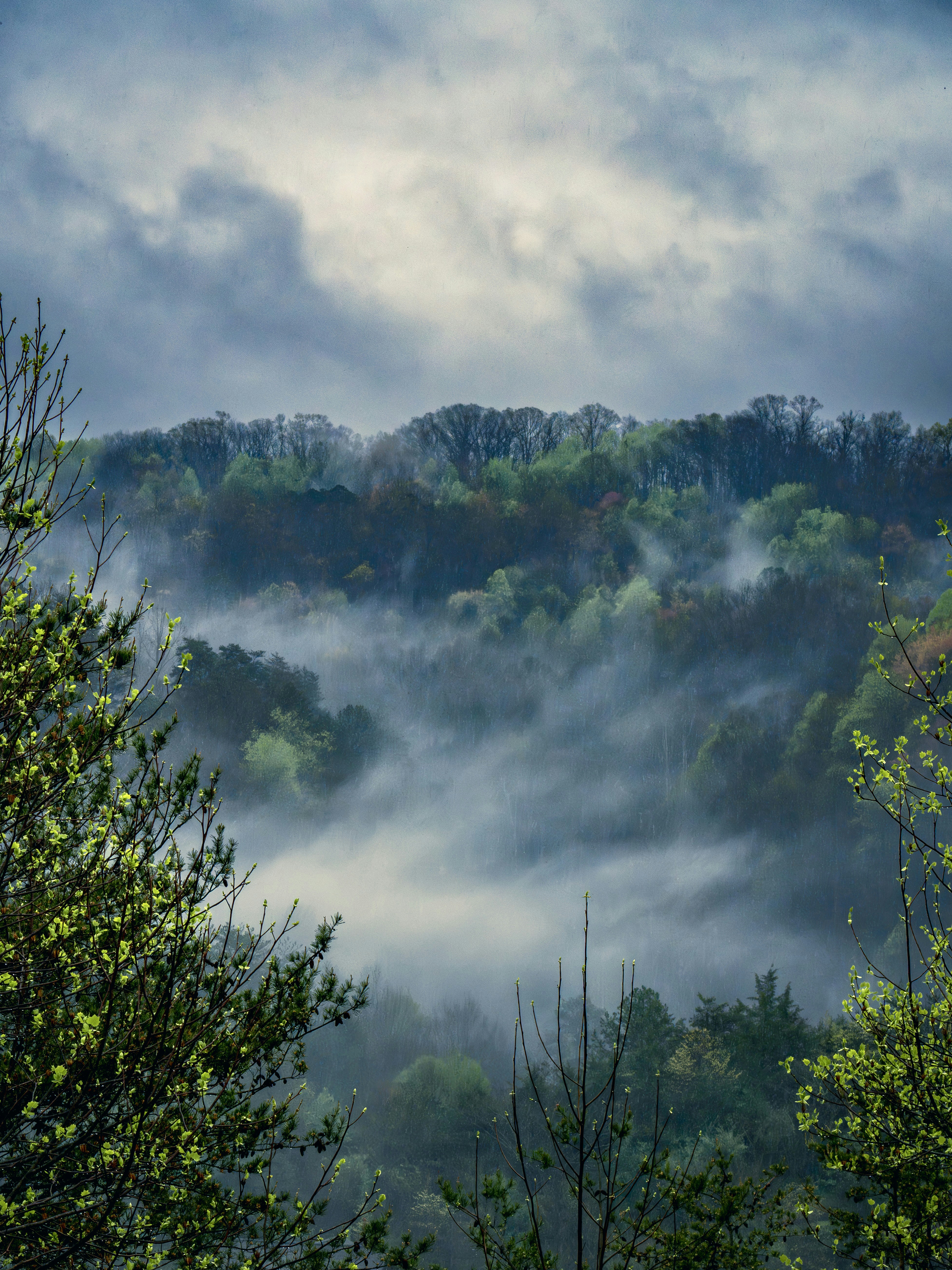 Photo by millerxmason