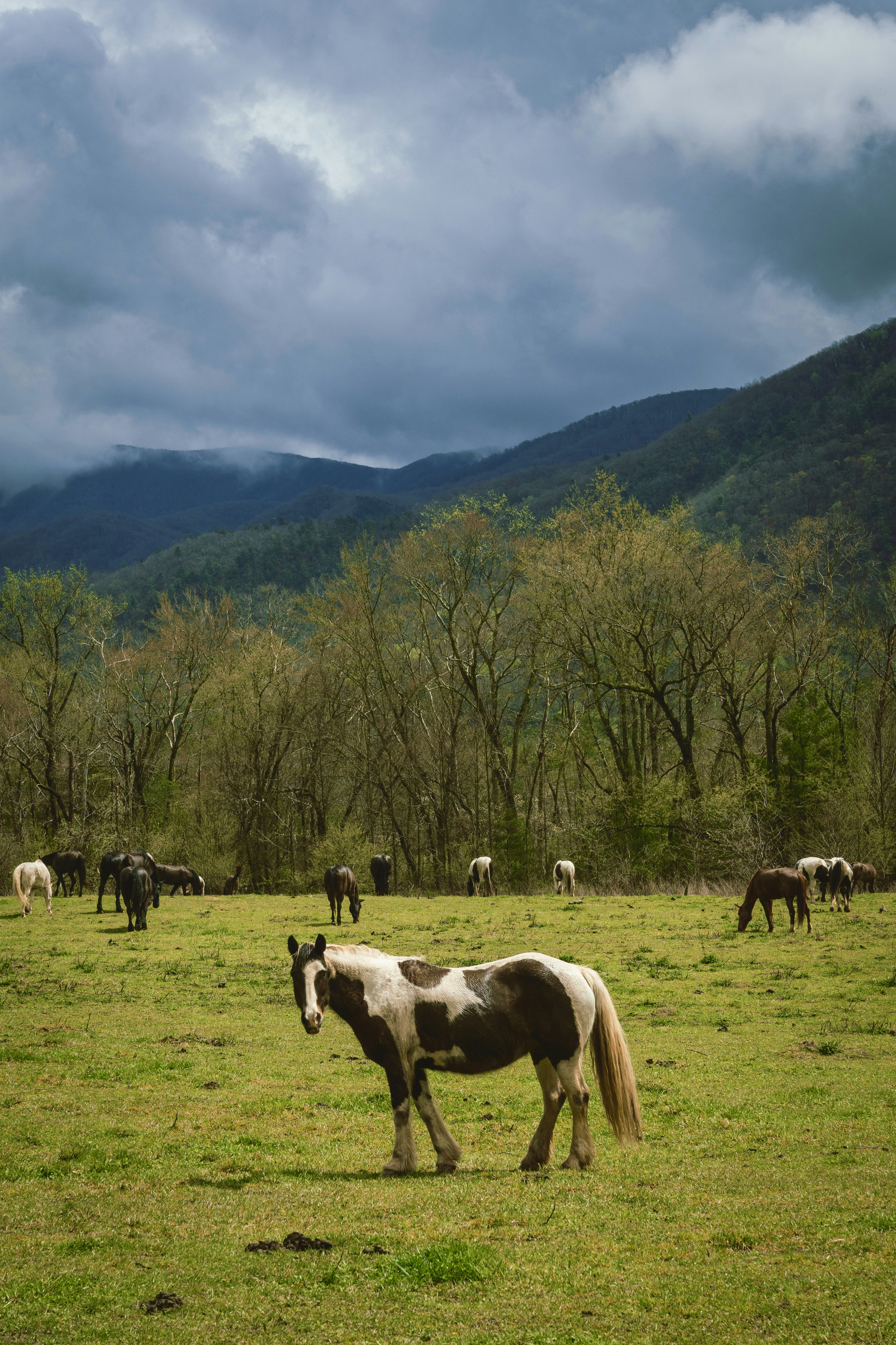 Photo by millerxmason