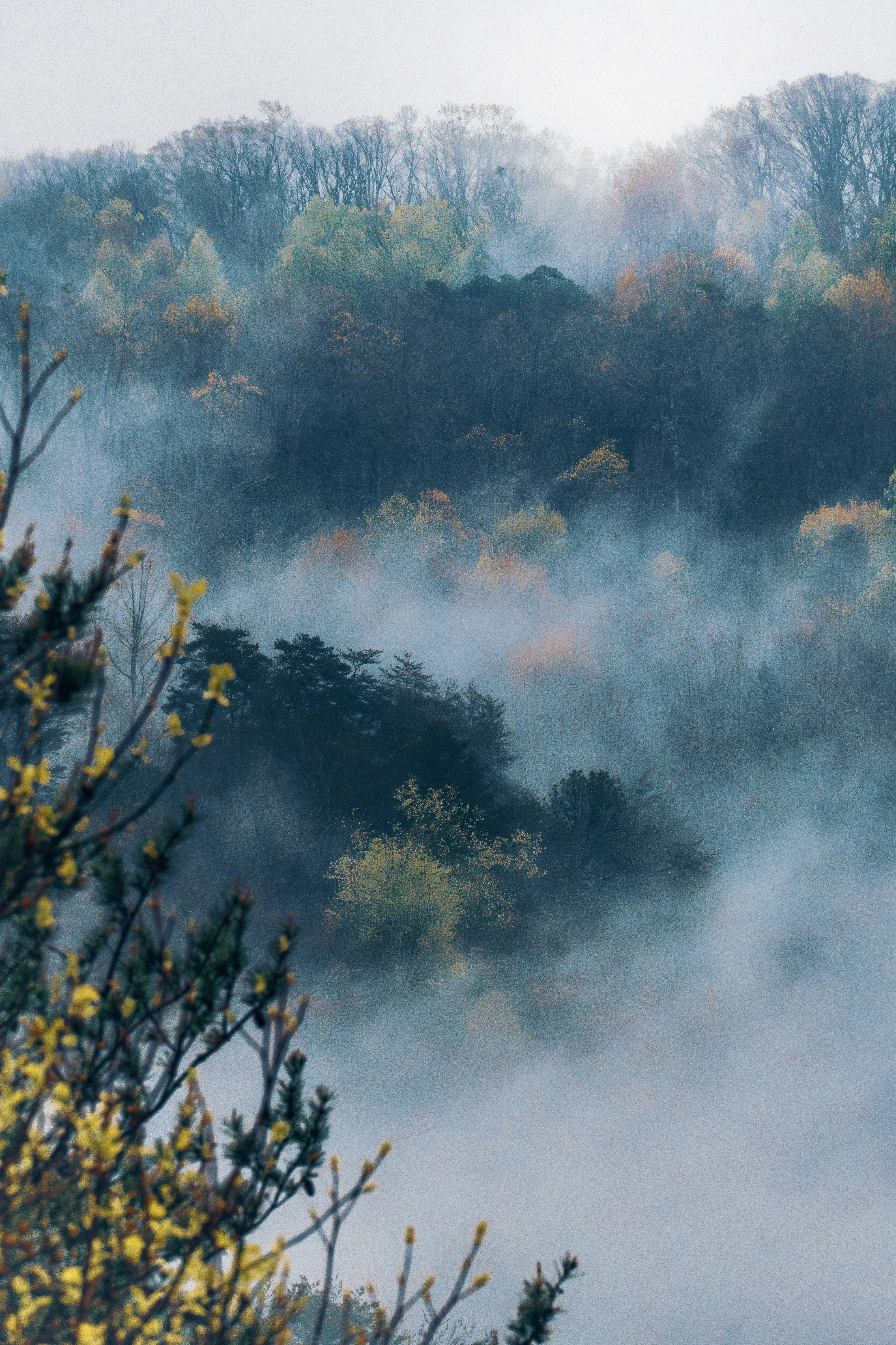 Photo by millerxmason