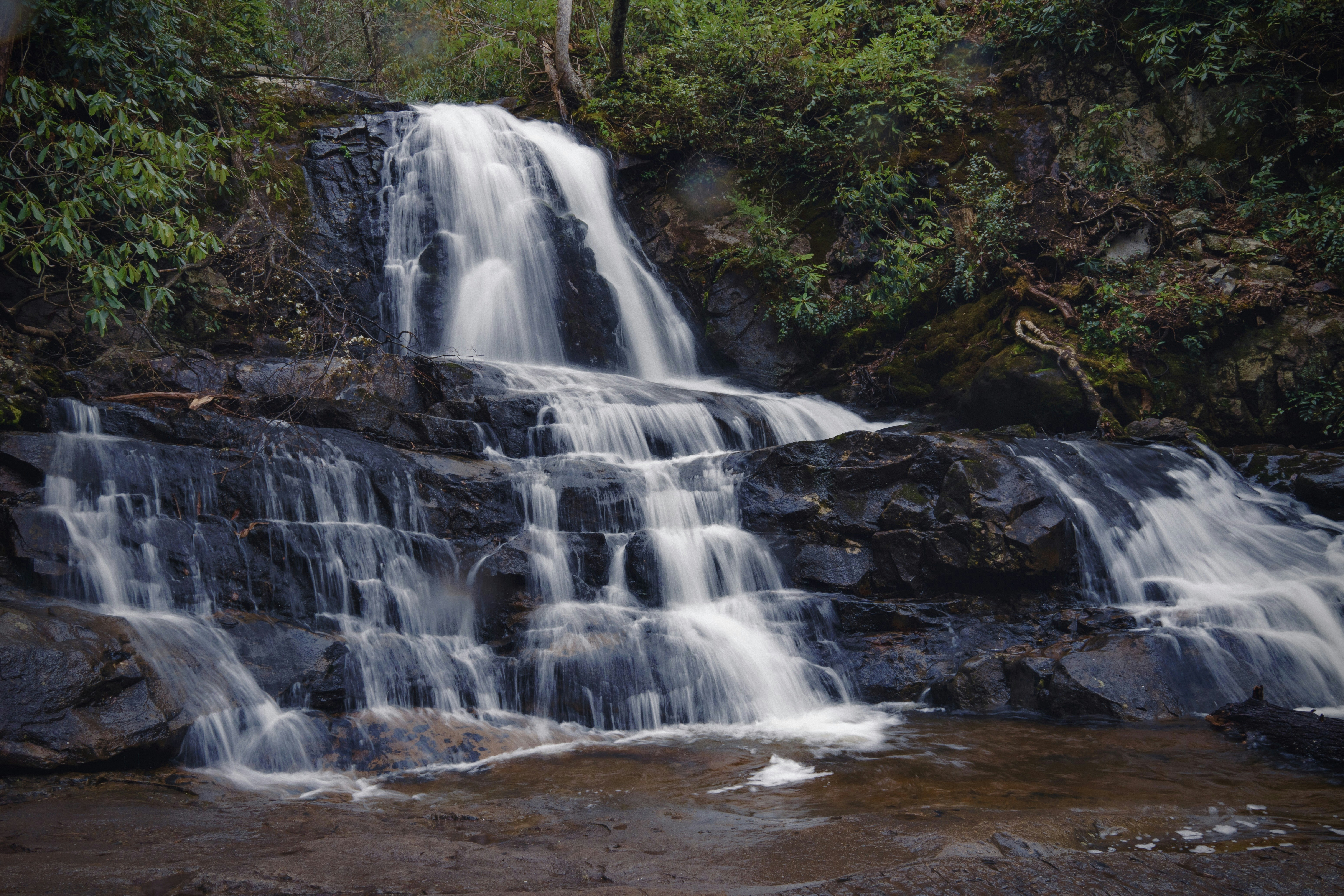 Photo by millerxmason