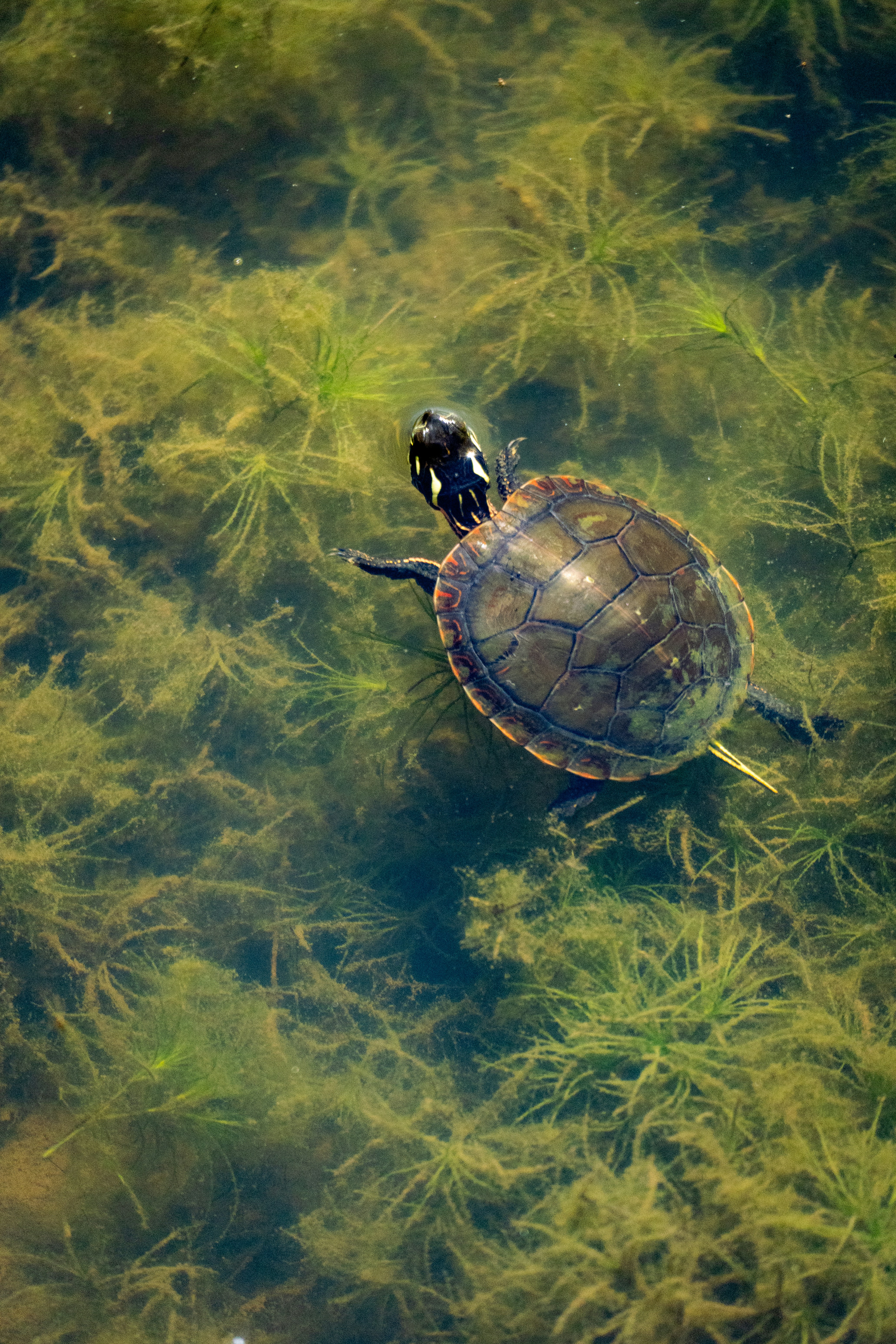 Photo by millerxmason