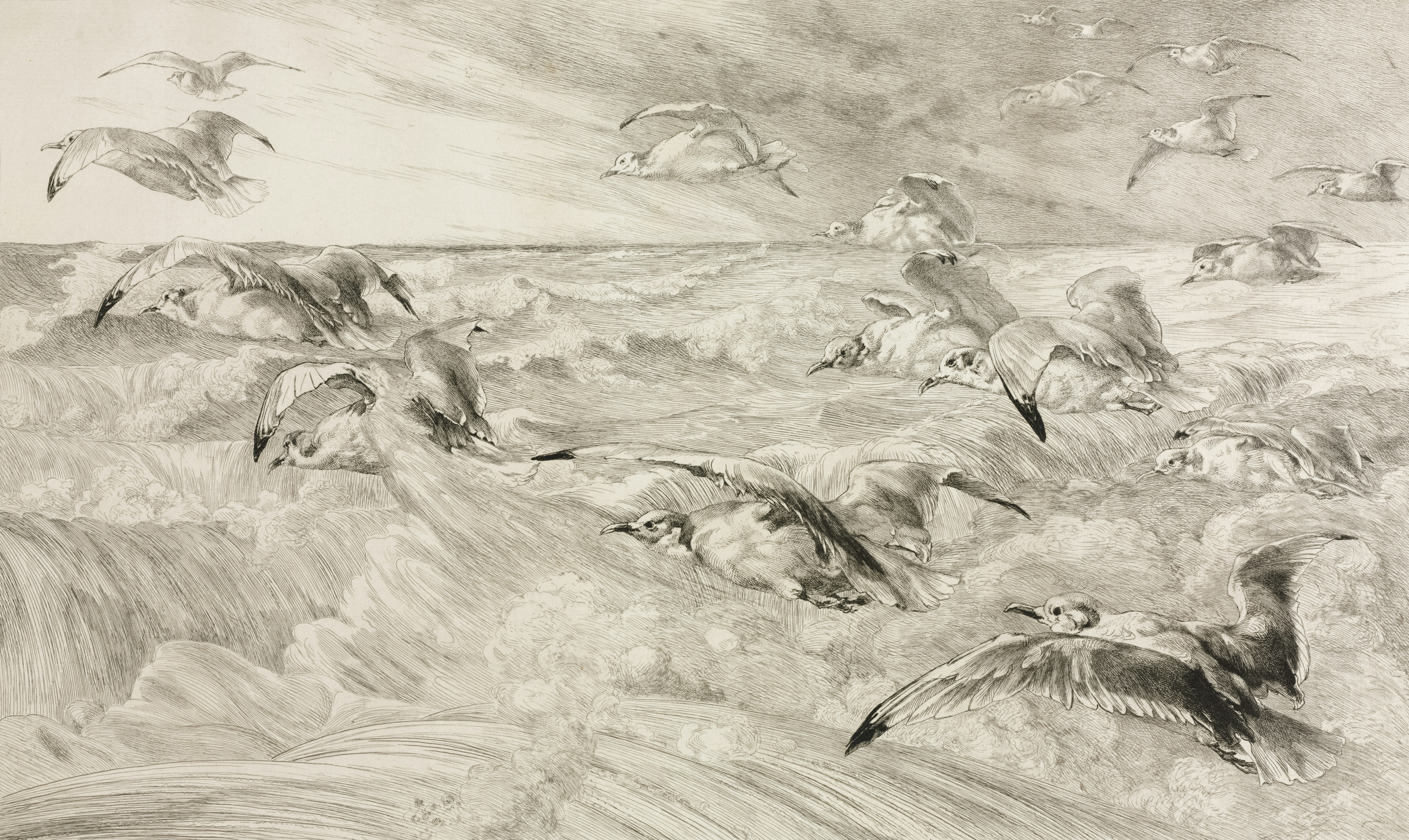 Photo by clevelandart