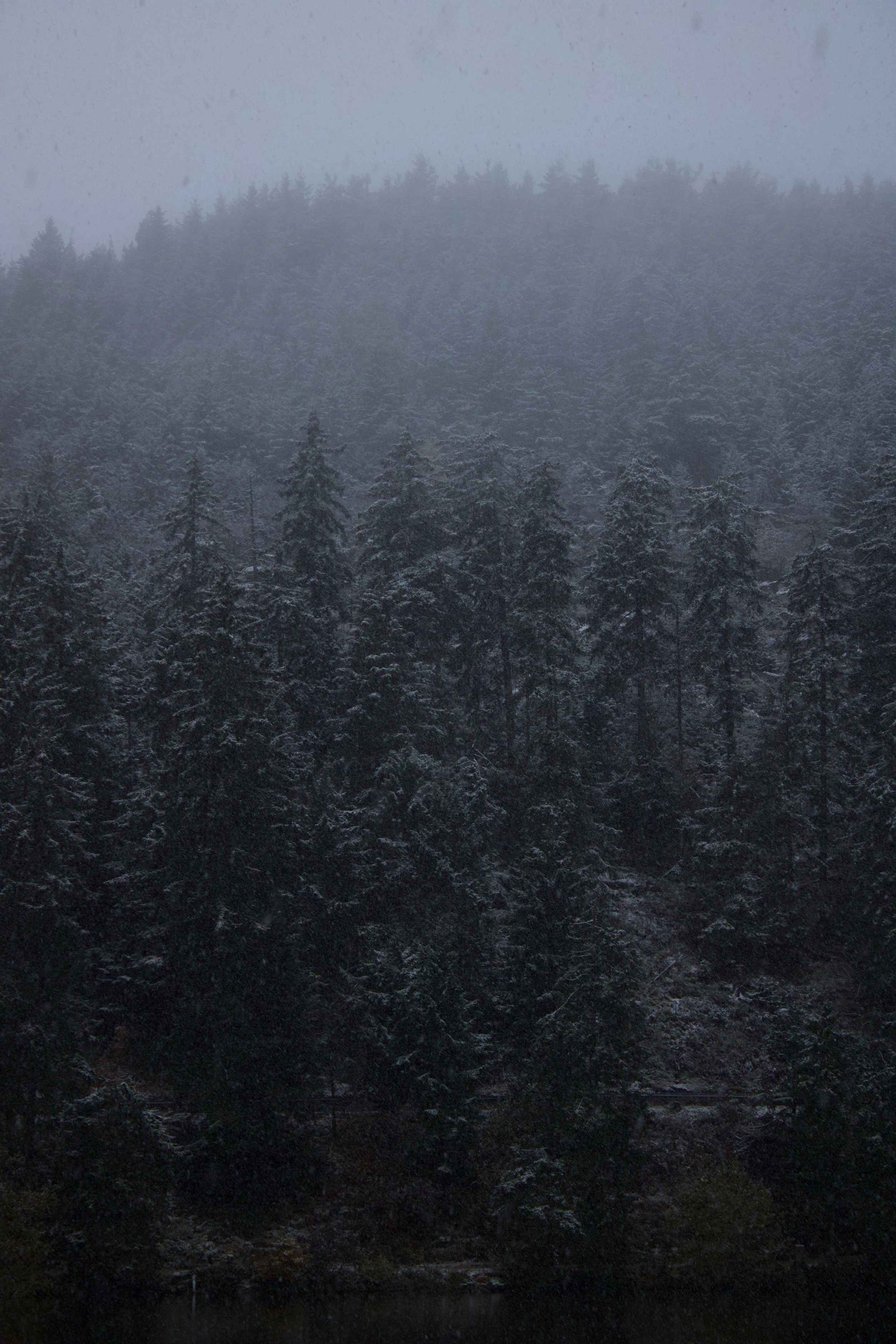 Photo by mihaelstojcevic