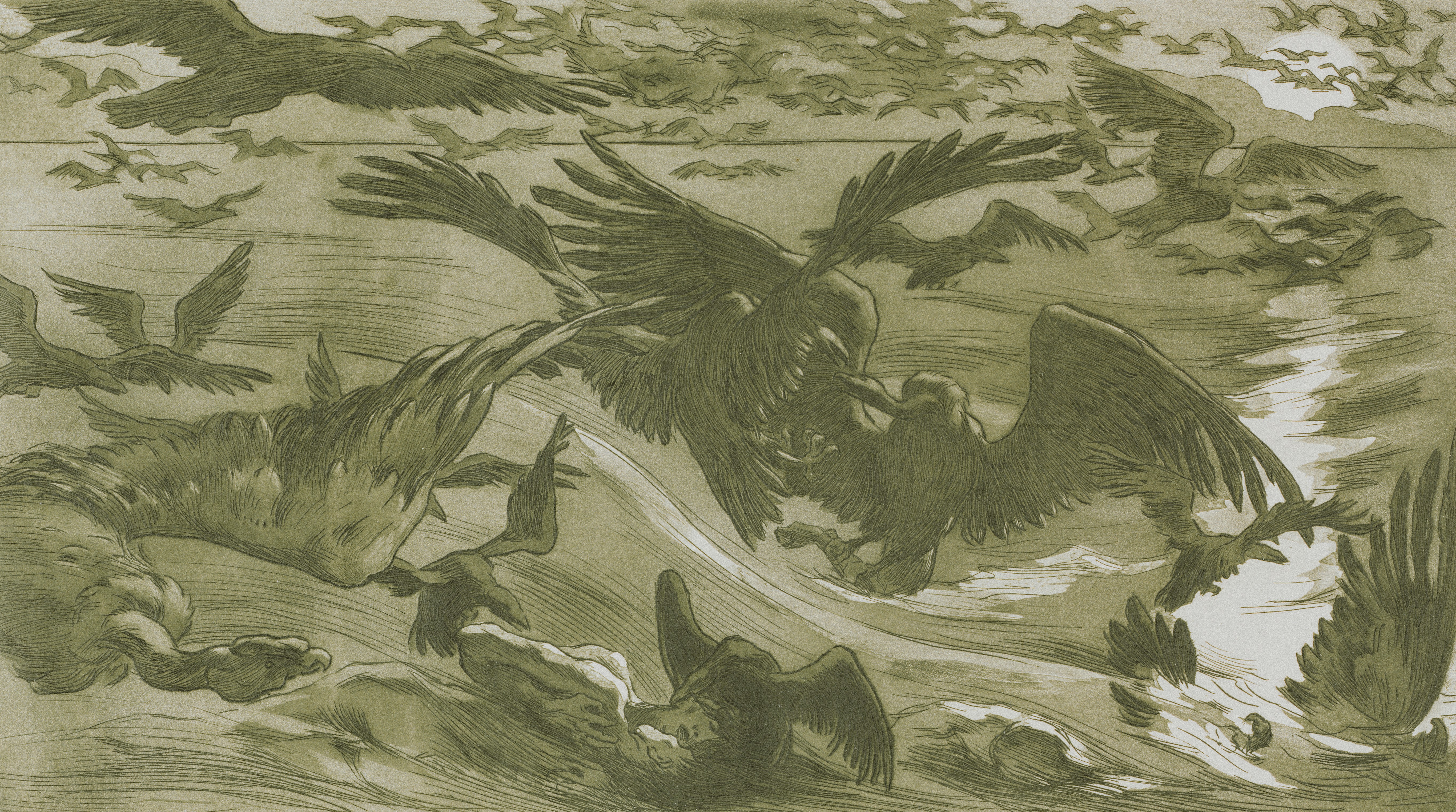 Photo by clevelandart