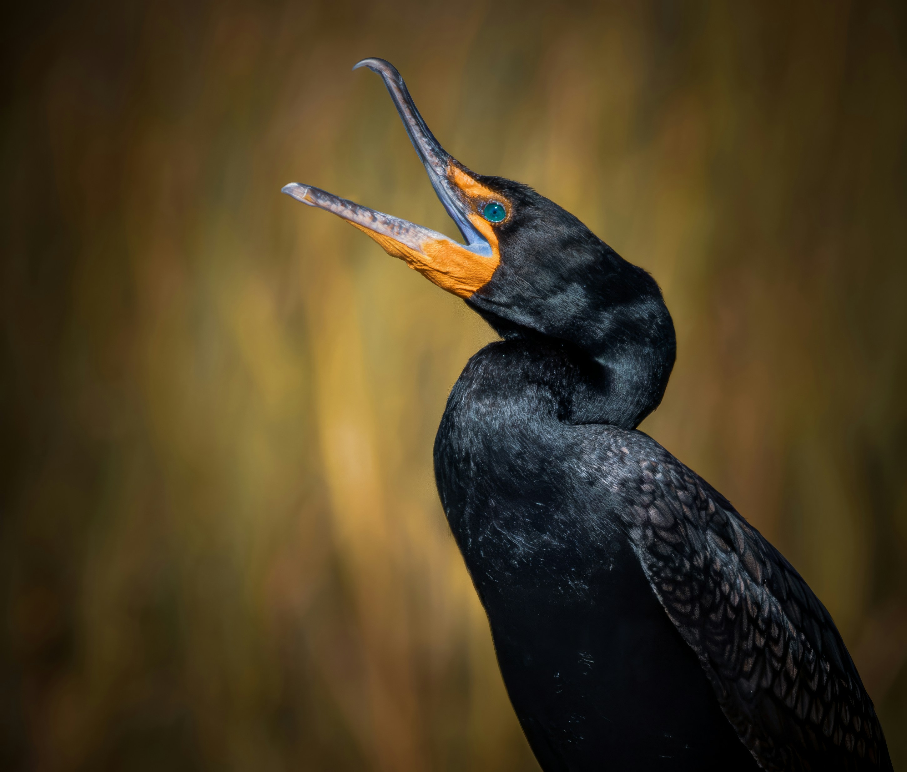 Photo by sailorgreg123