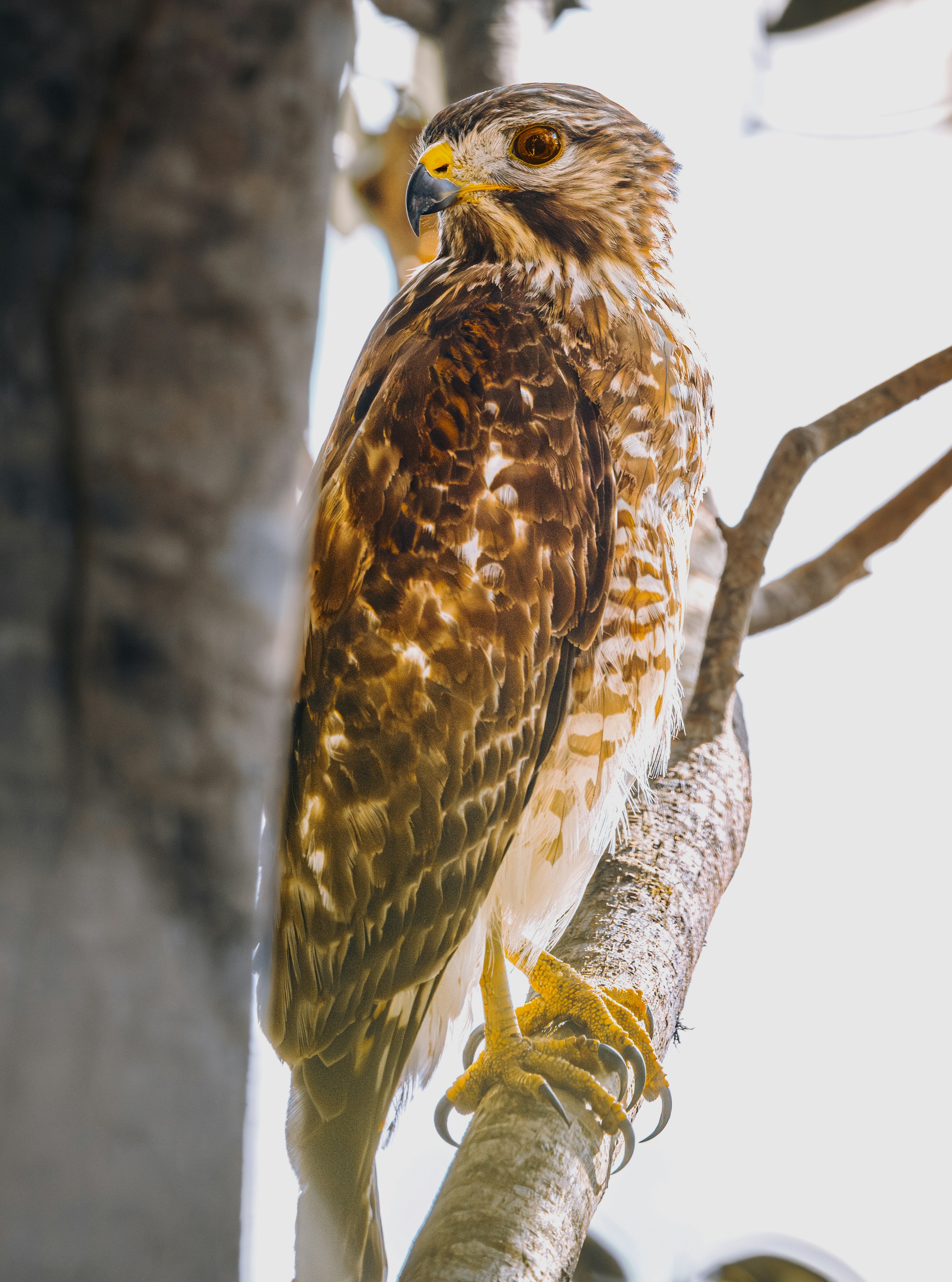 Photo by sailorgreg123