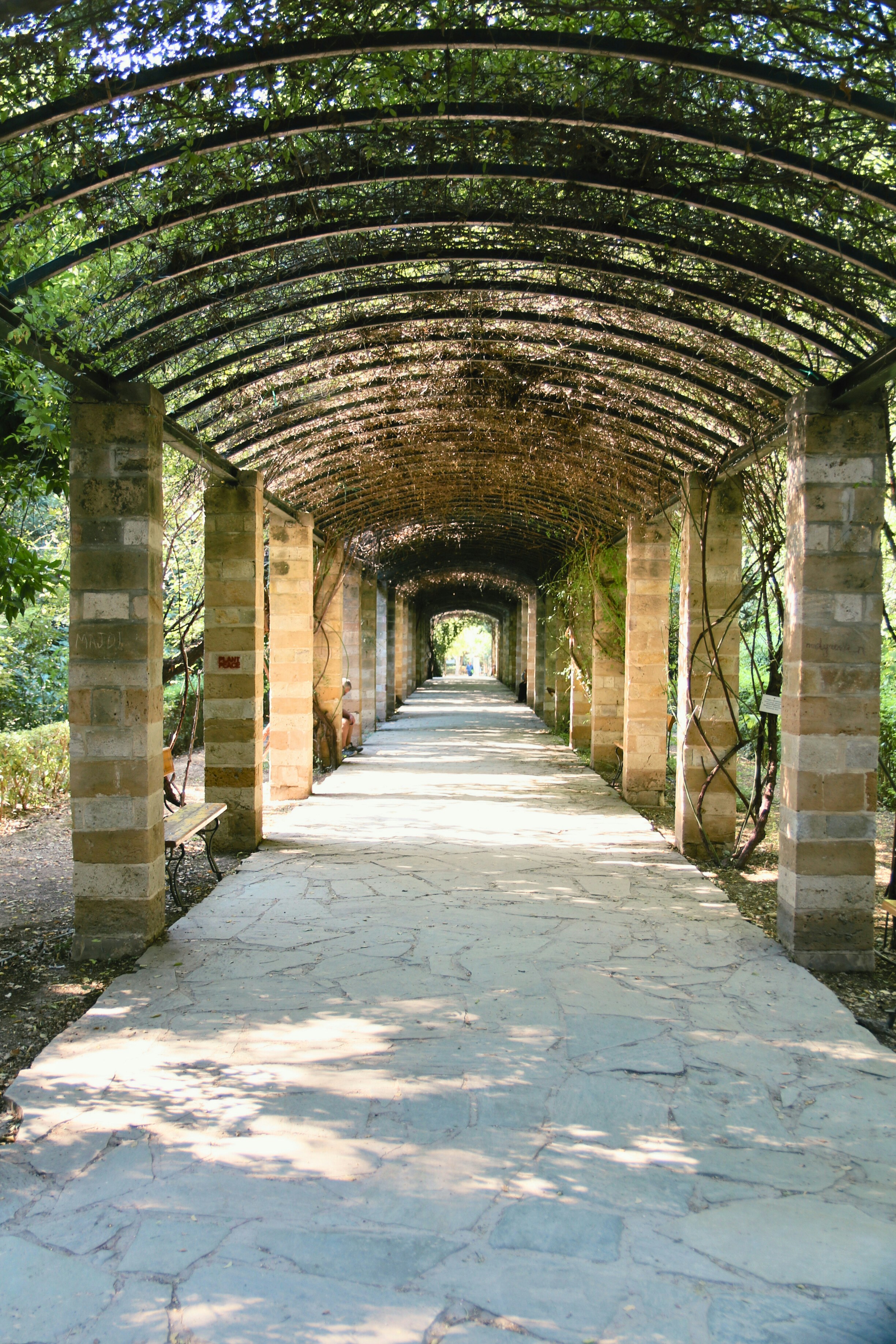 Photo by brunafisantos