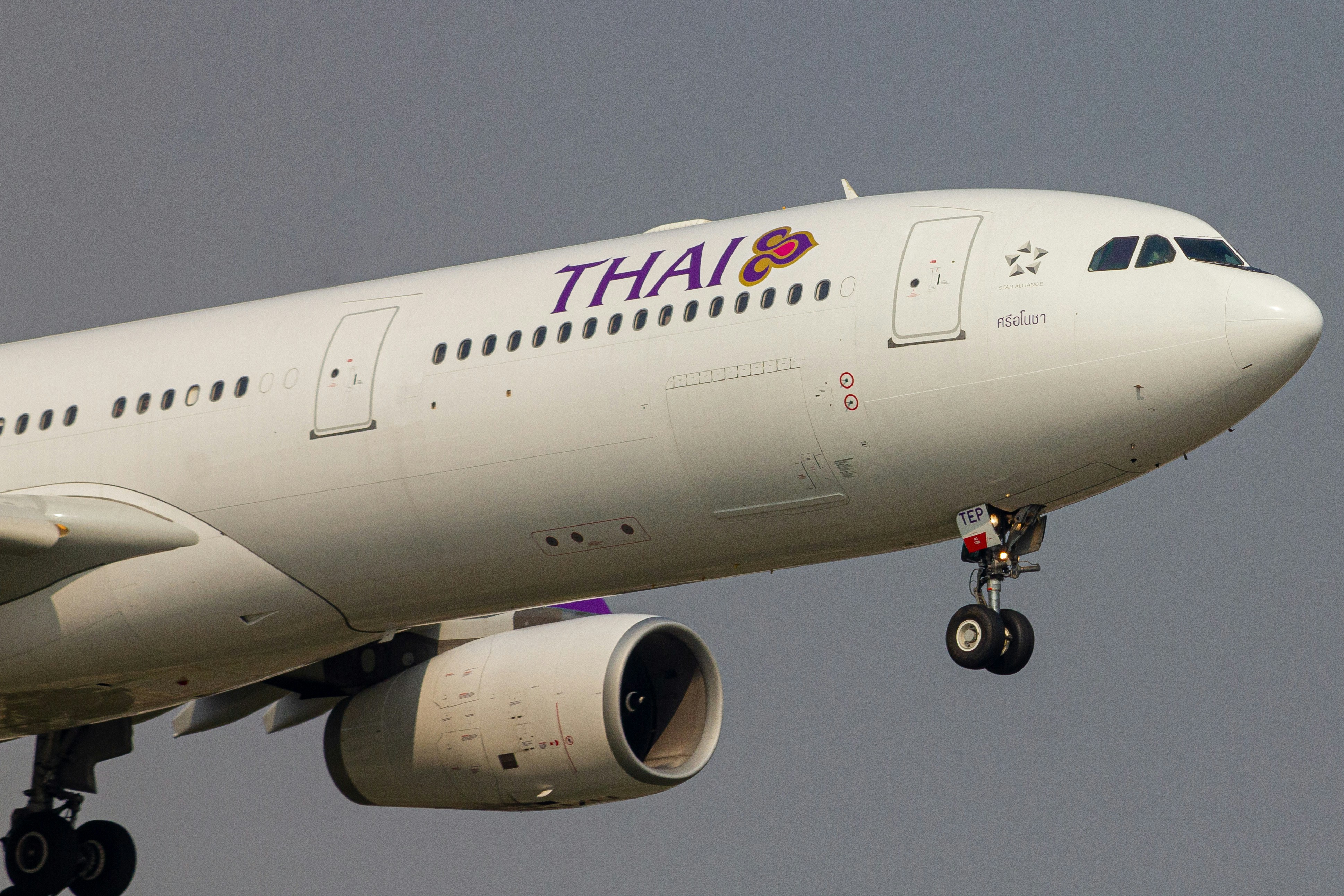 A thai air plane flying in the sky