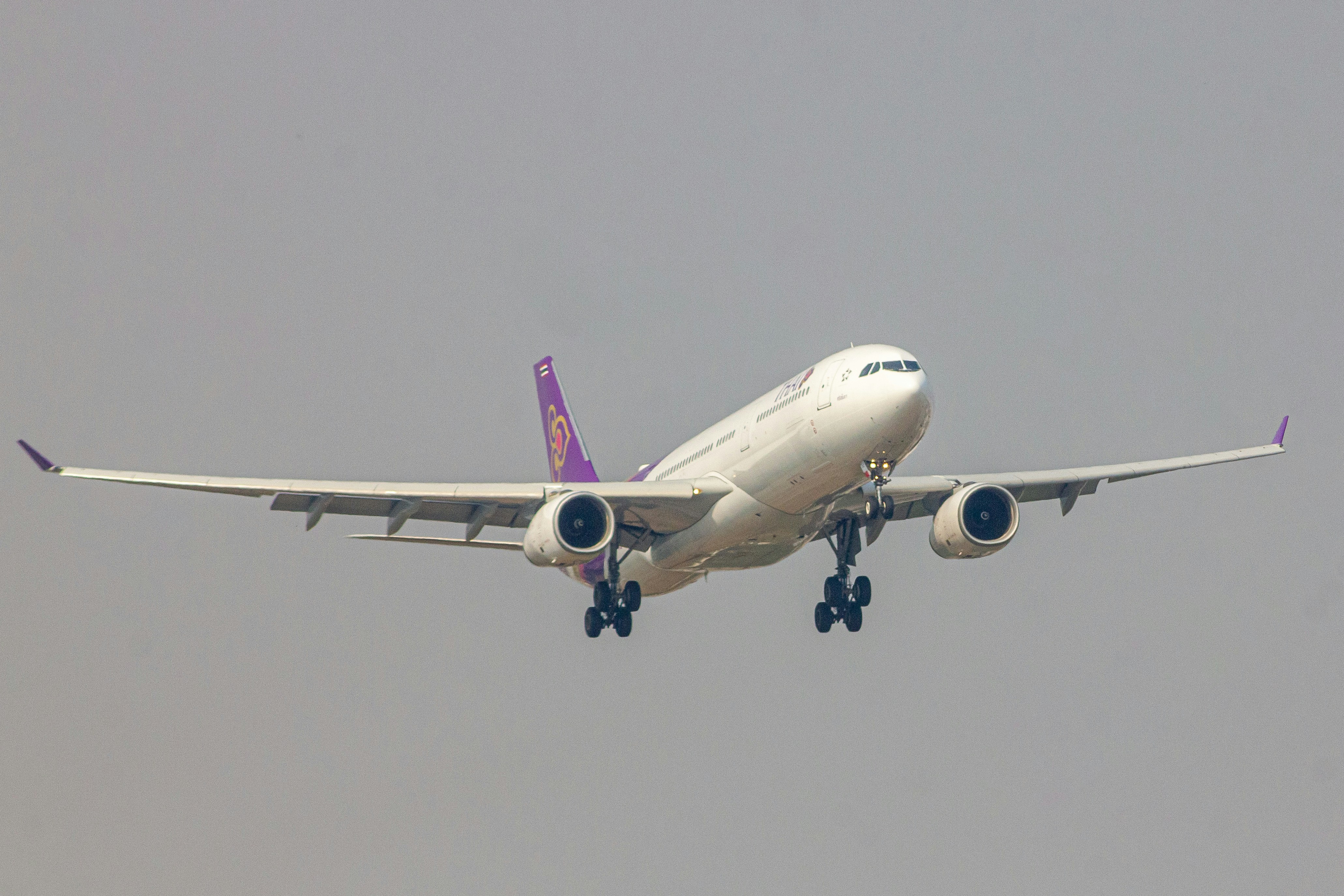 A large jetliner flying through a gray sky