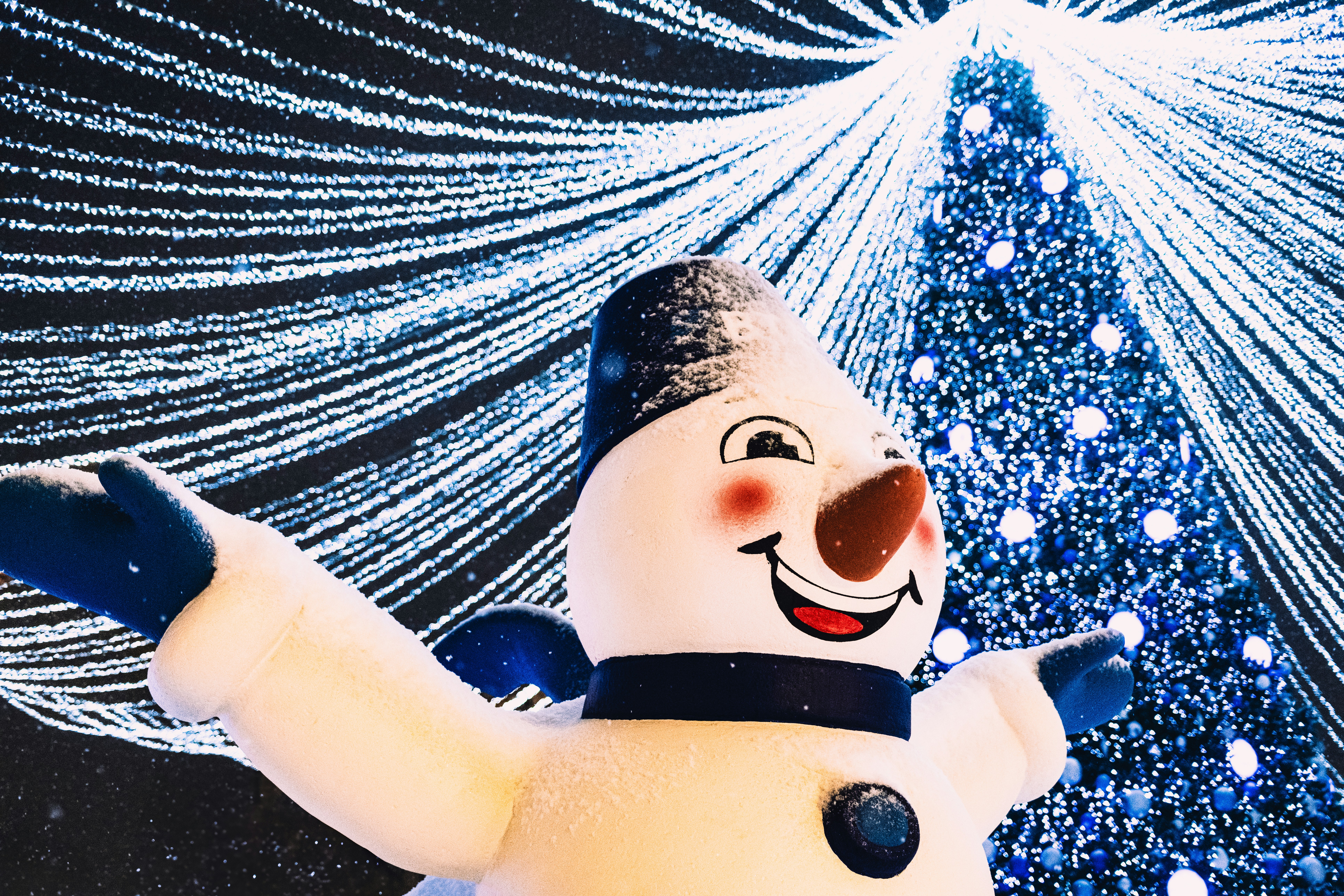 Photo by stef_enheart