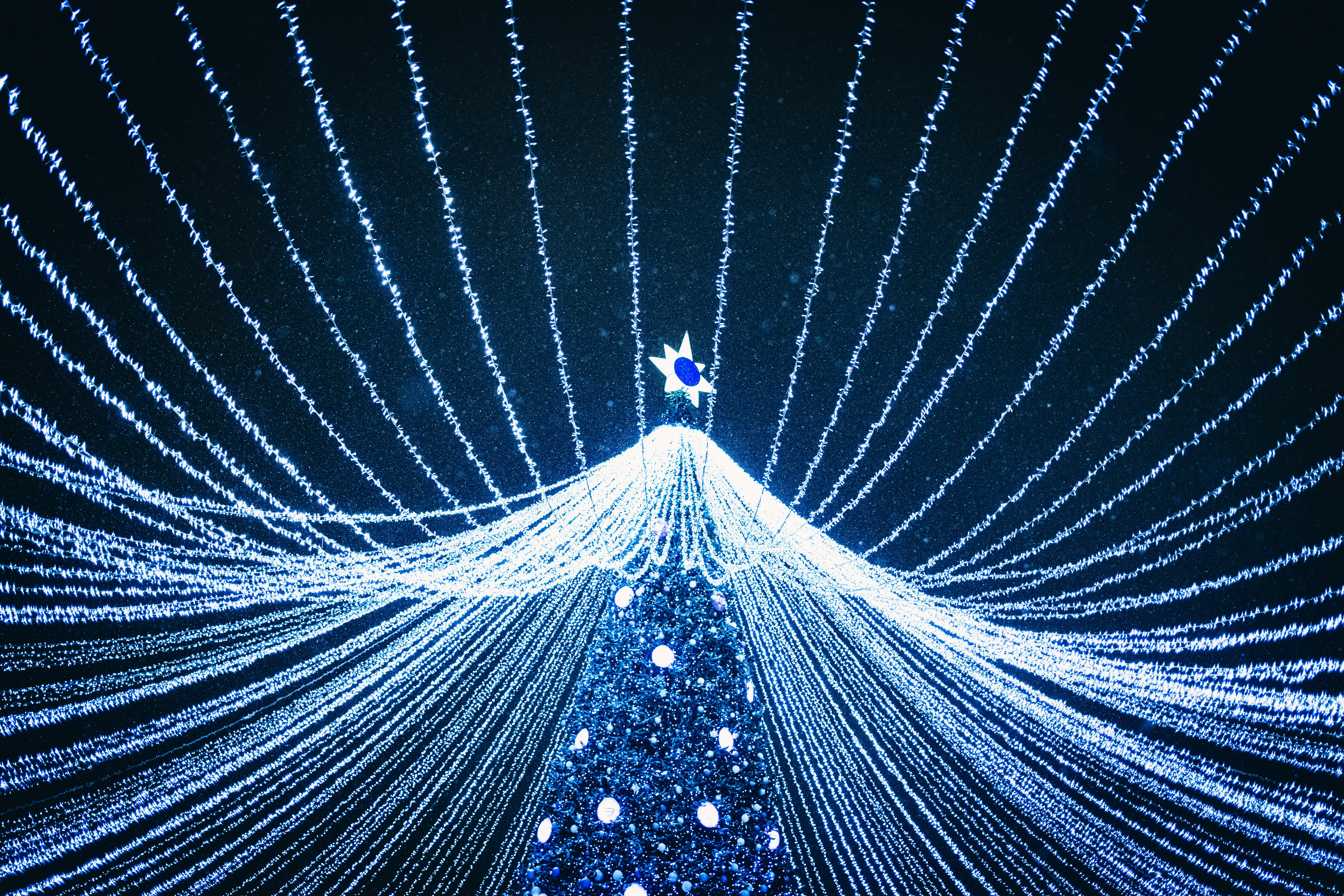 Photo by stef_enheart